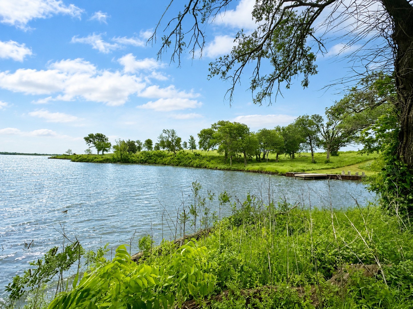 Lot 53 Richland Court