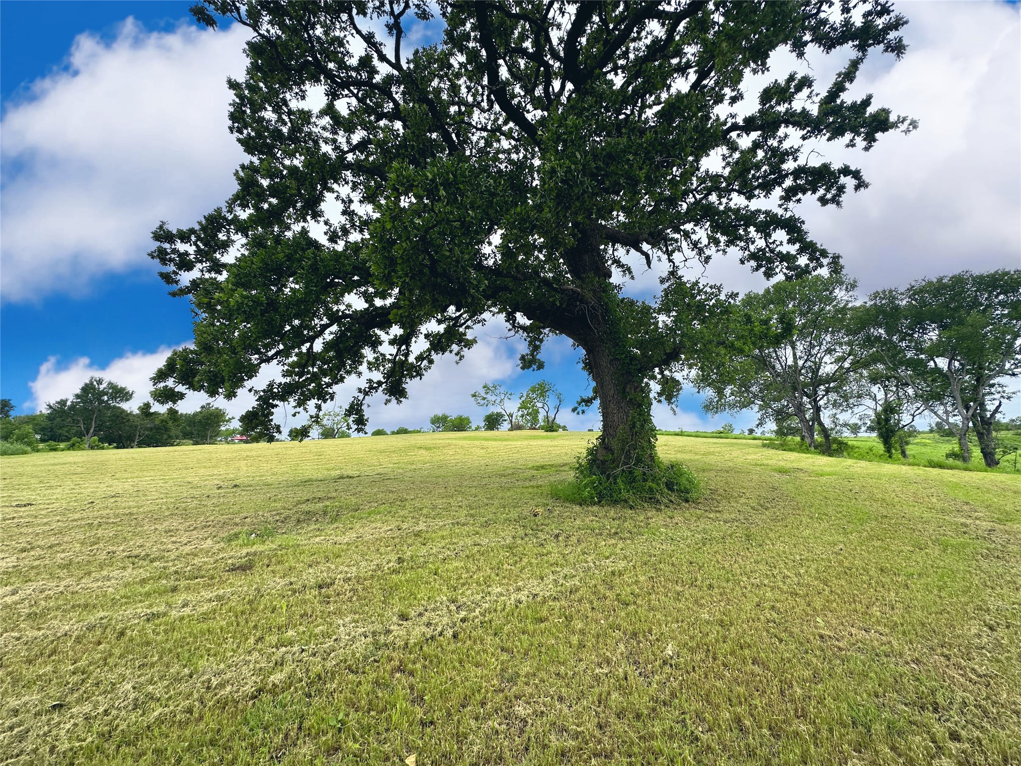 Lot 53 Richland Court