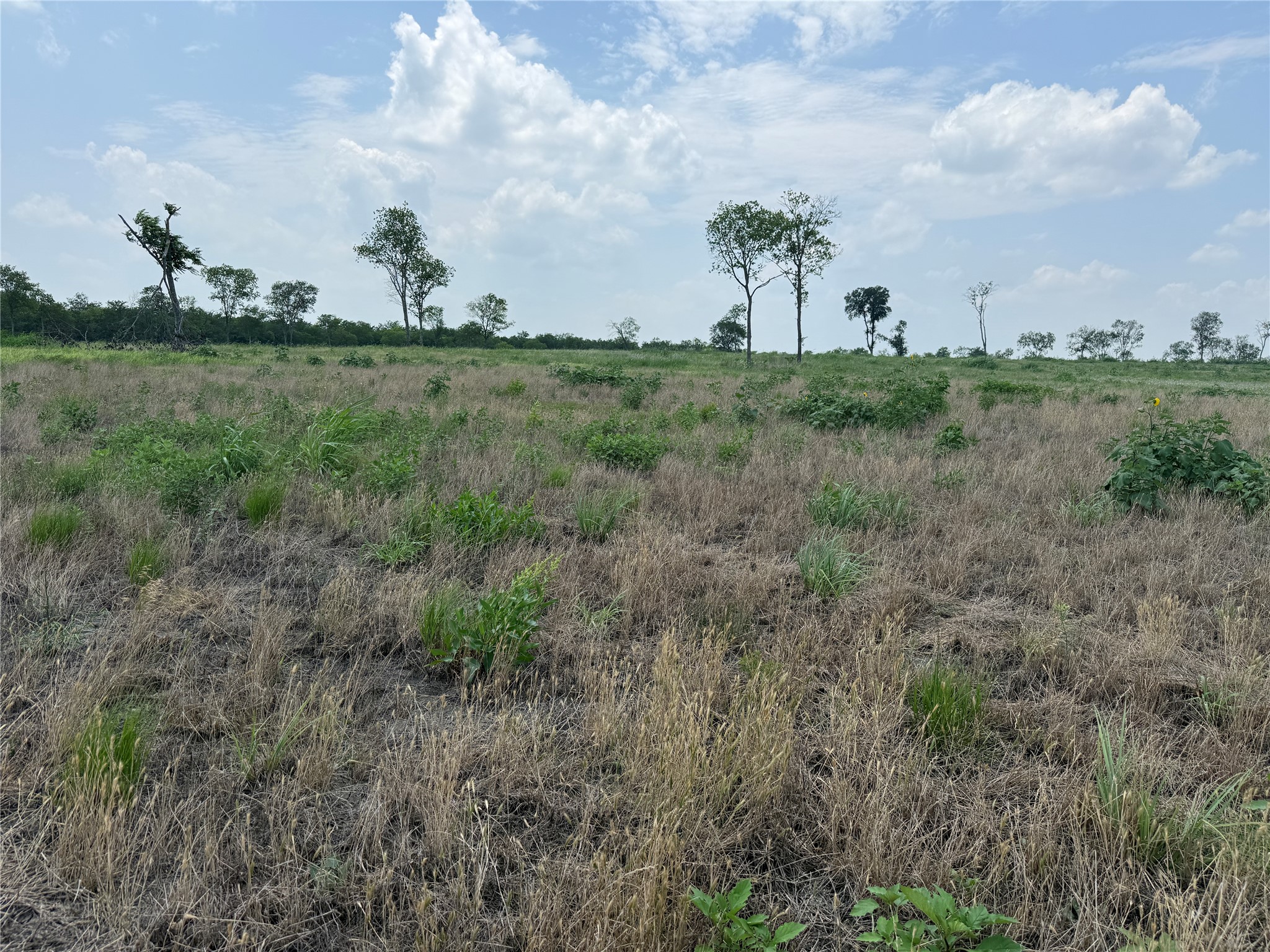 Lot 230 Waterfront Club Drive