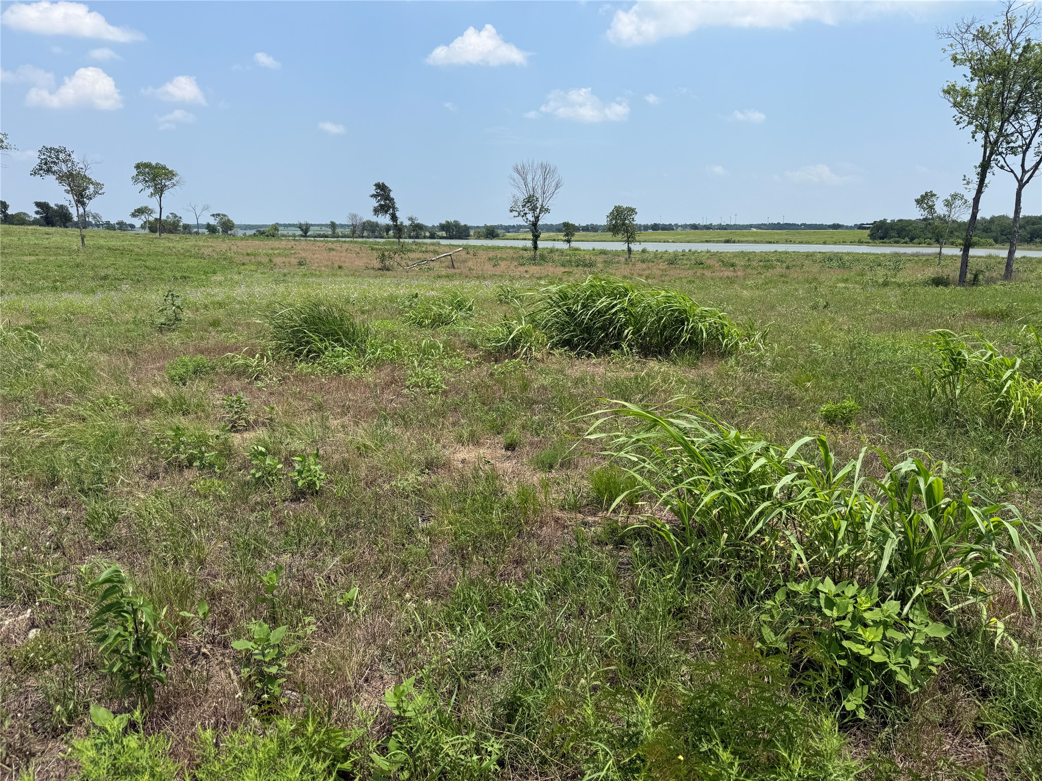 Lot 230 Waterfront Club Drive