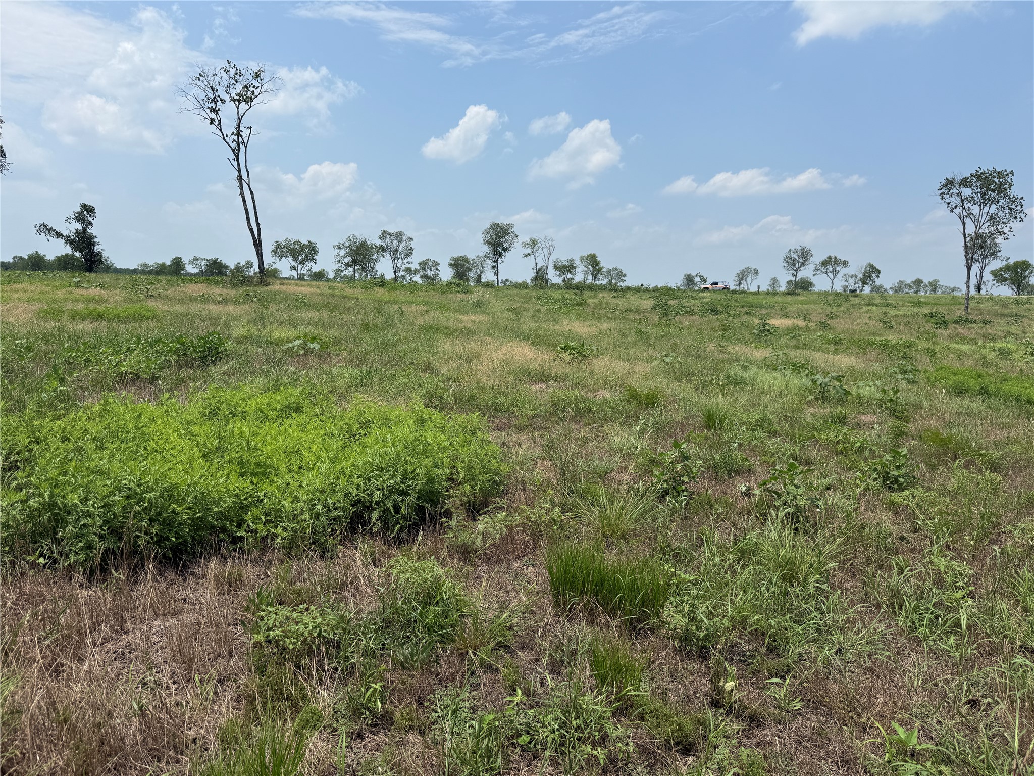 Lot 230 Waterfront Club Drive
