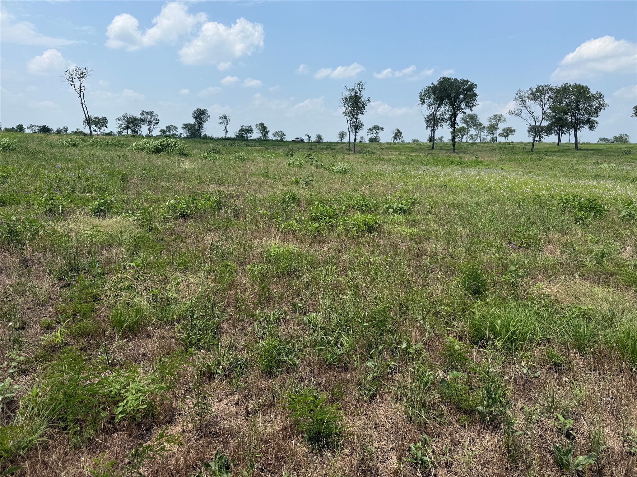 Lot 230 Waterfront Club Drive