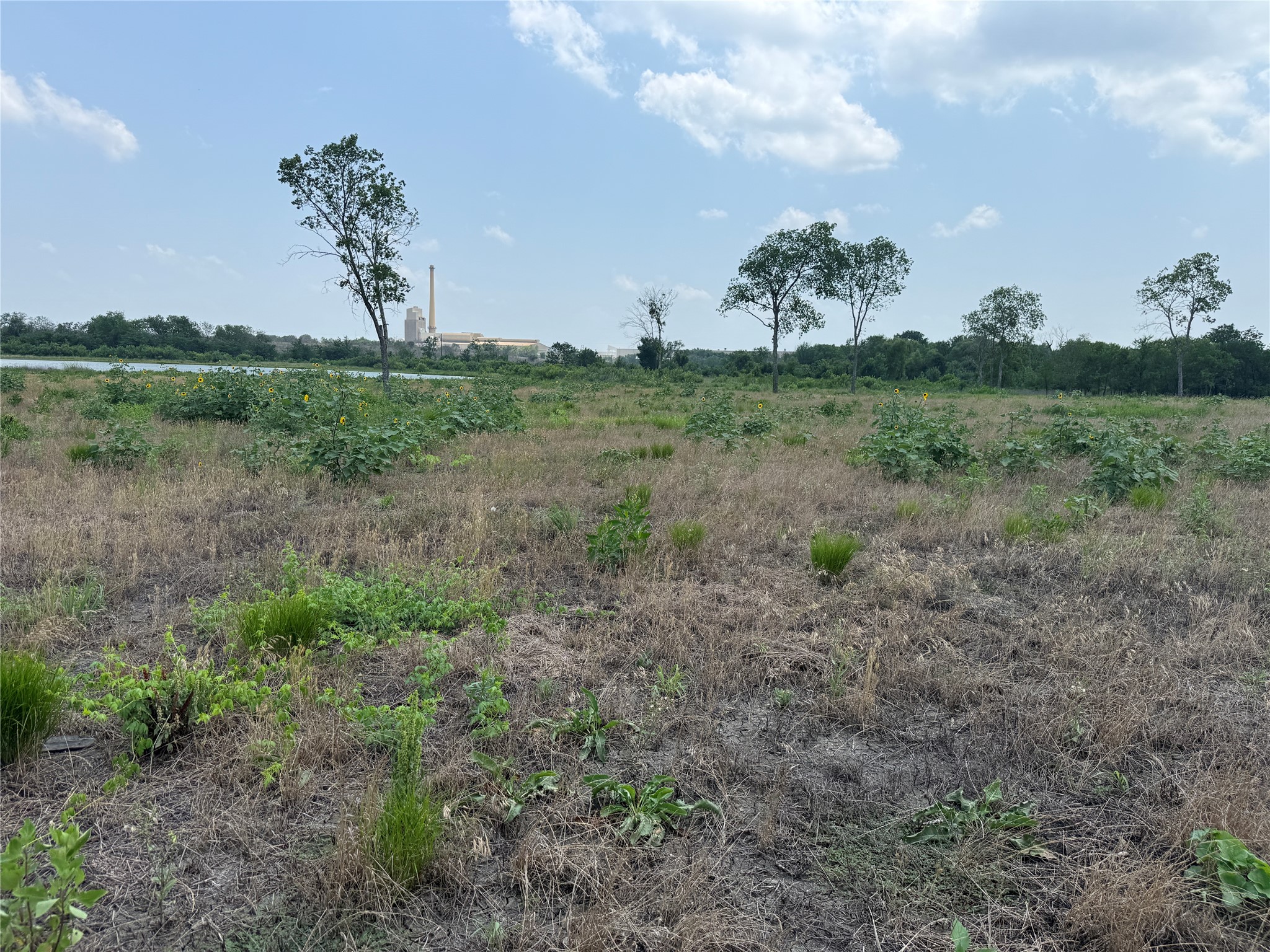 Lot 230 Waterfront Club Drive