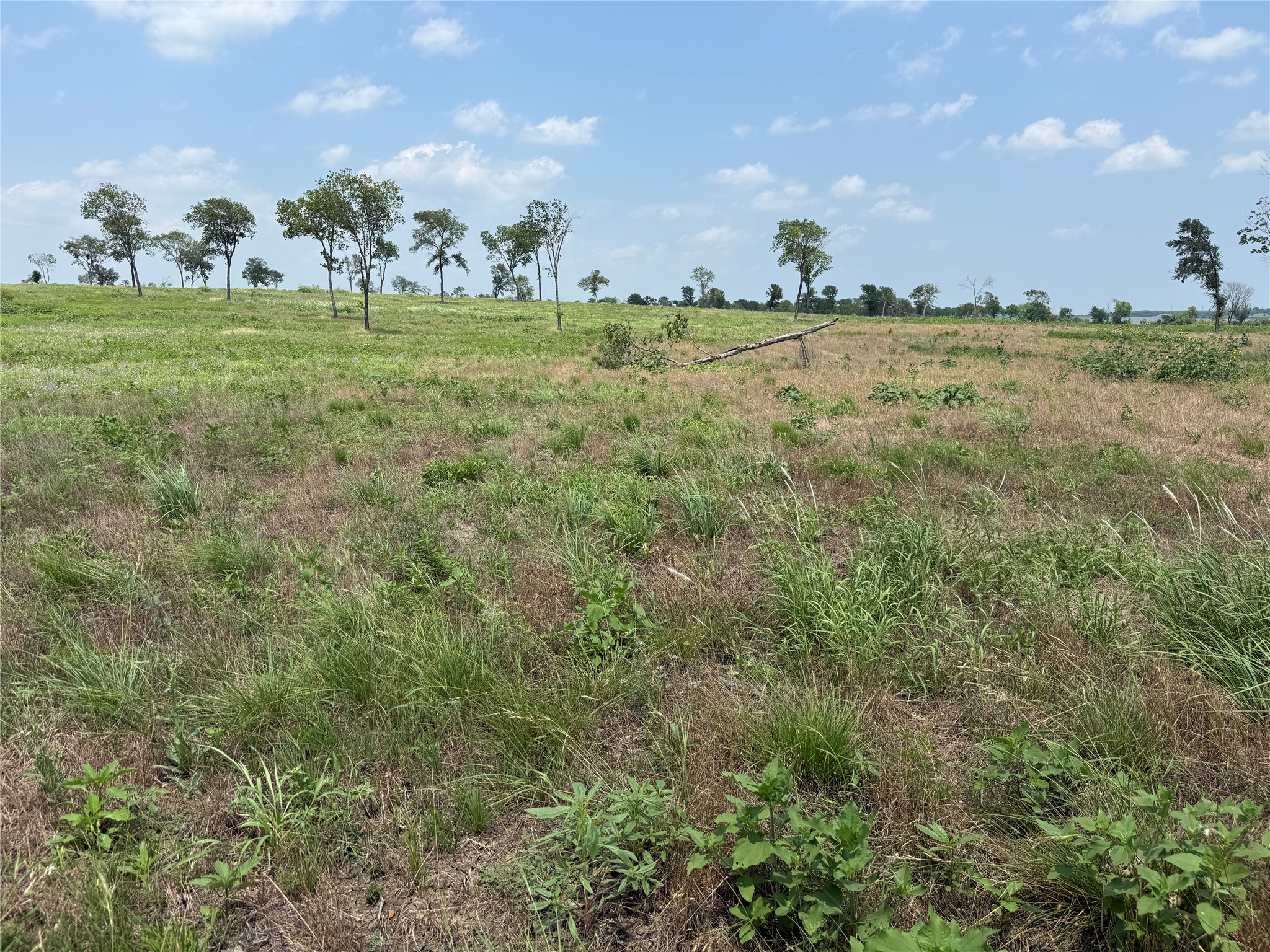 Lot 230 Waterfront Club Drive