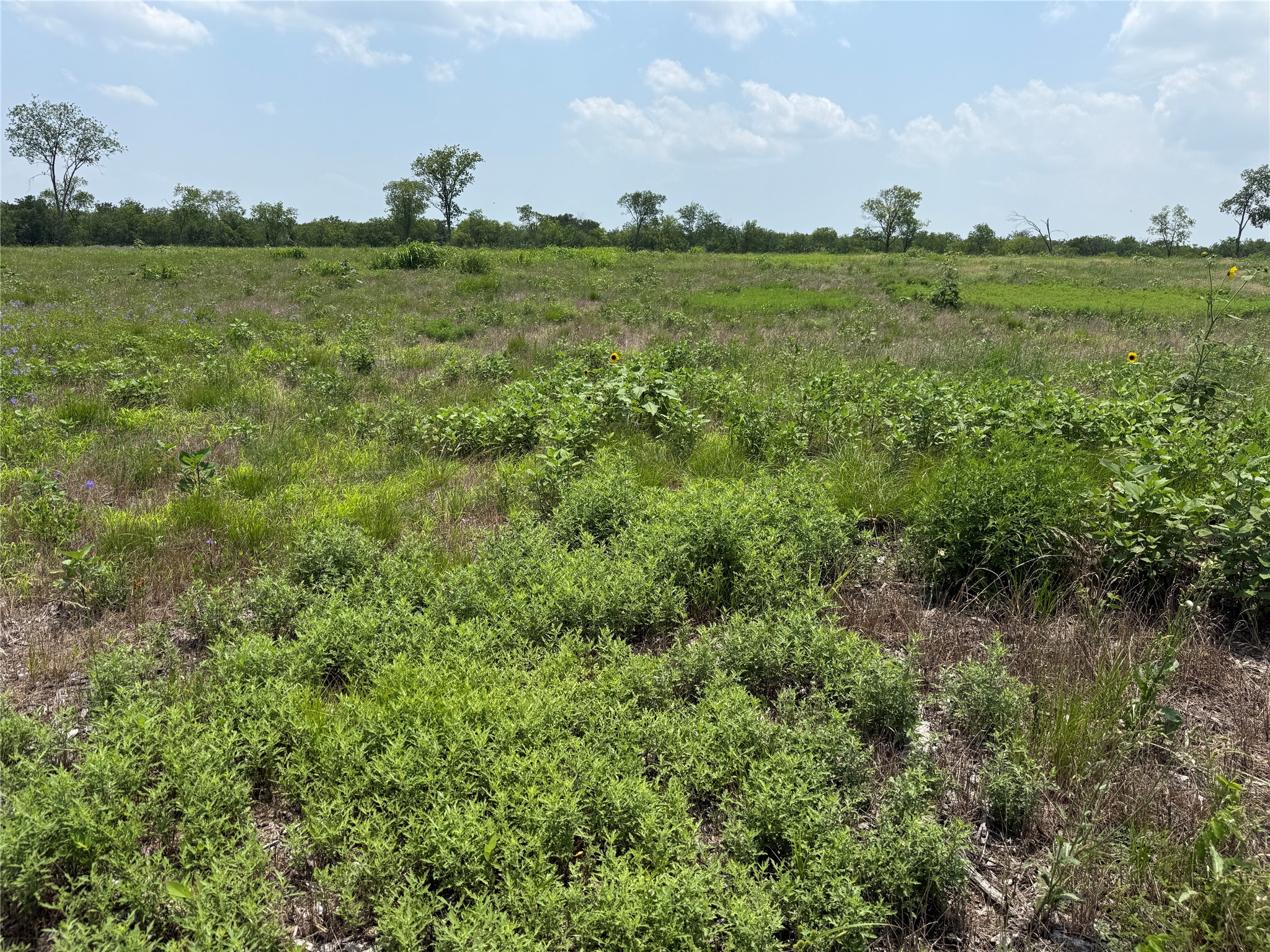 Lot 230 Waterfront Club Drive