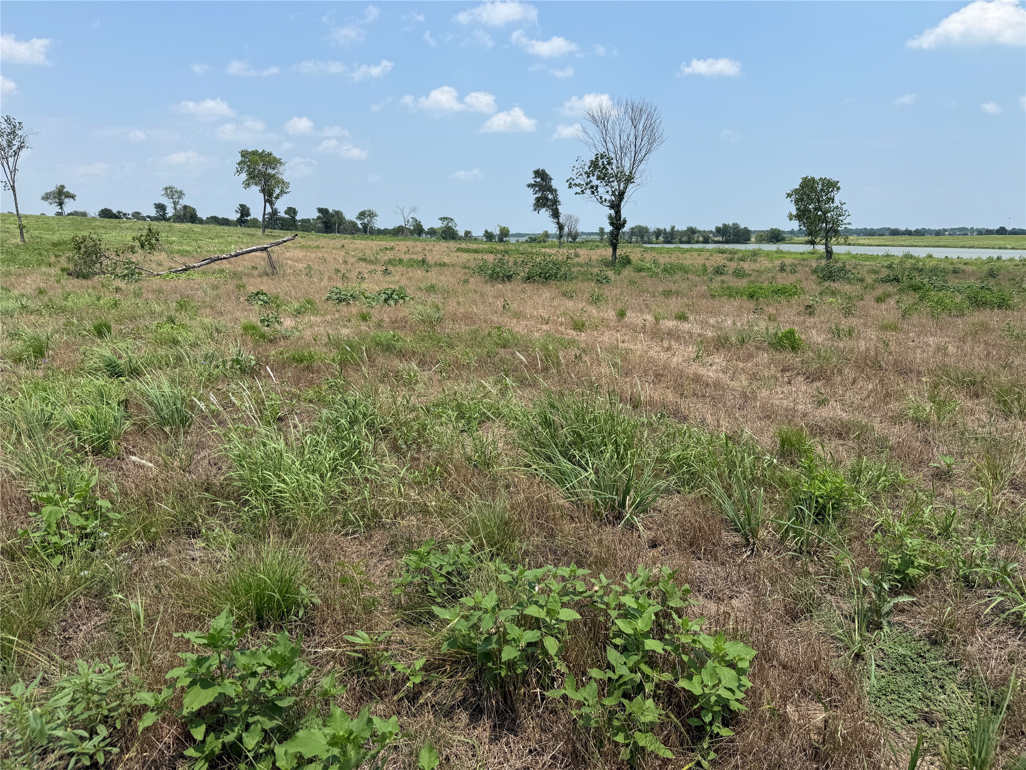 Lot 230 Waterfront Club Drive
