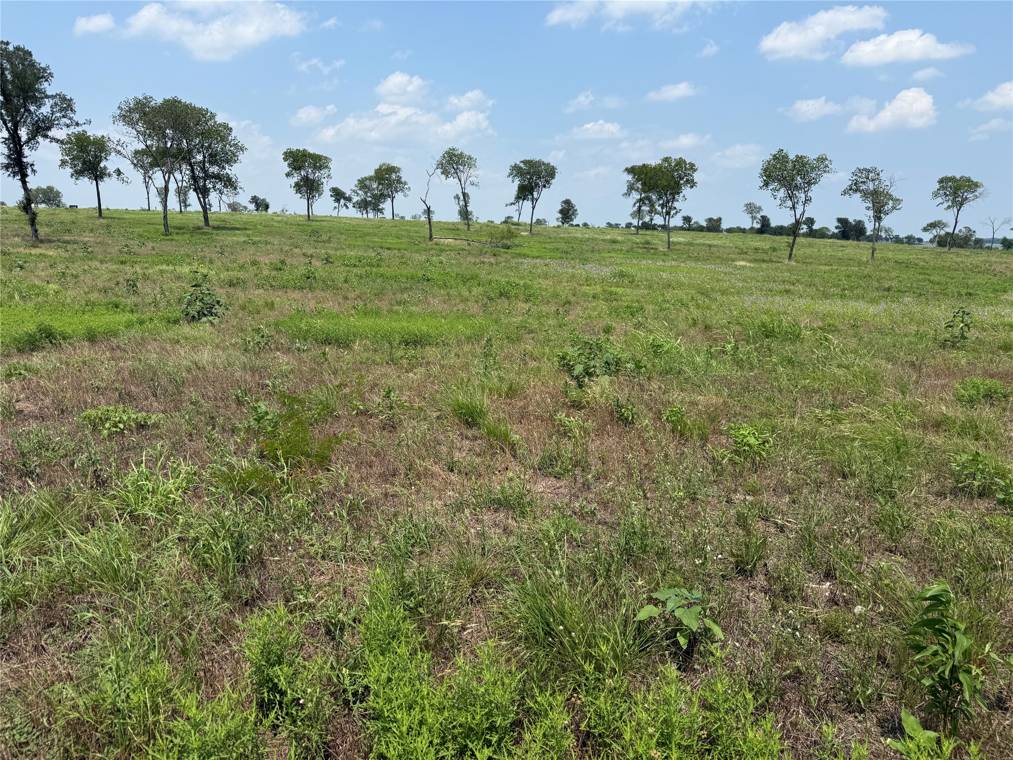 Lot 230 Waterfront Club Drive