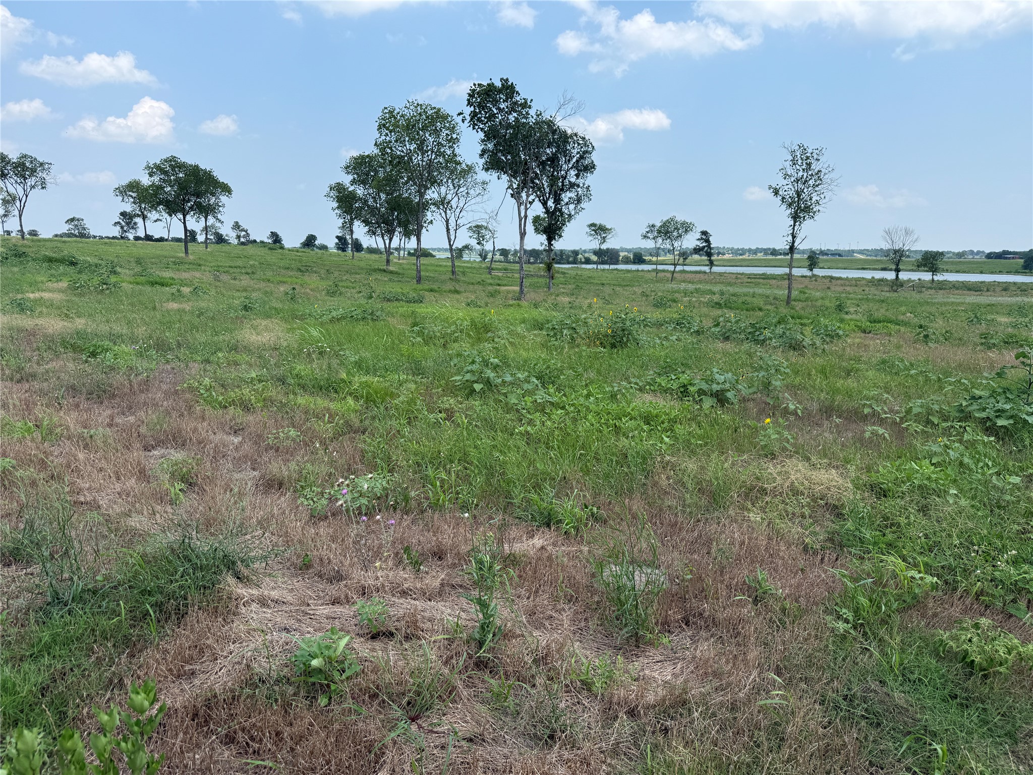Lot 230 Waterfront Club Drive