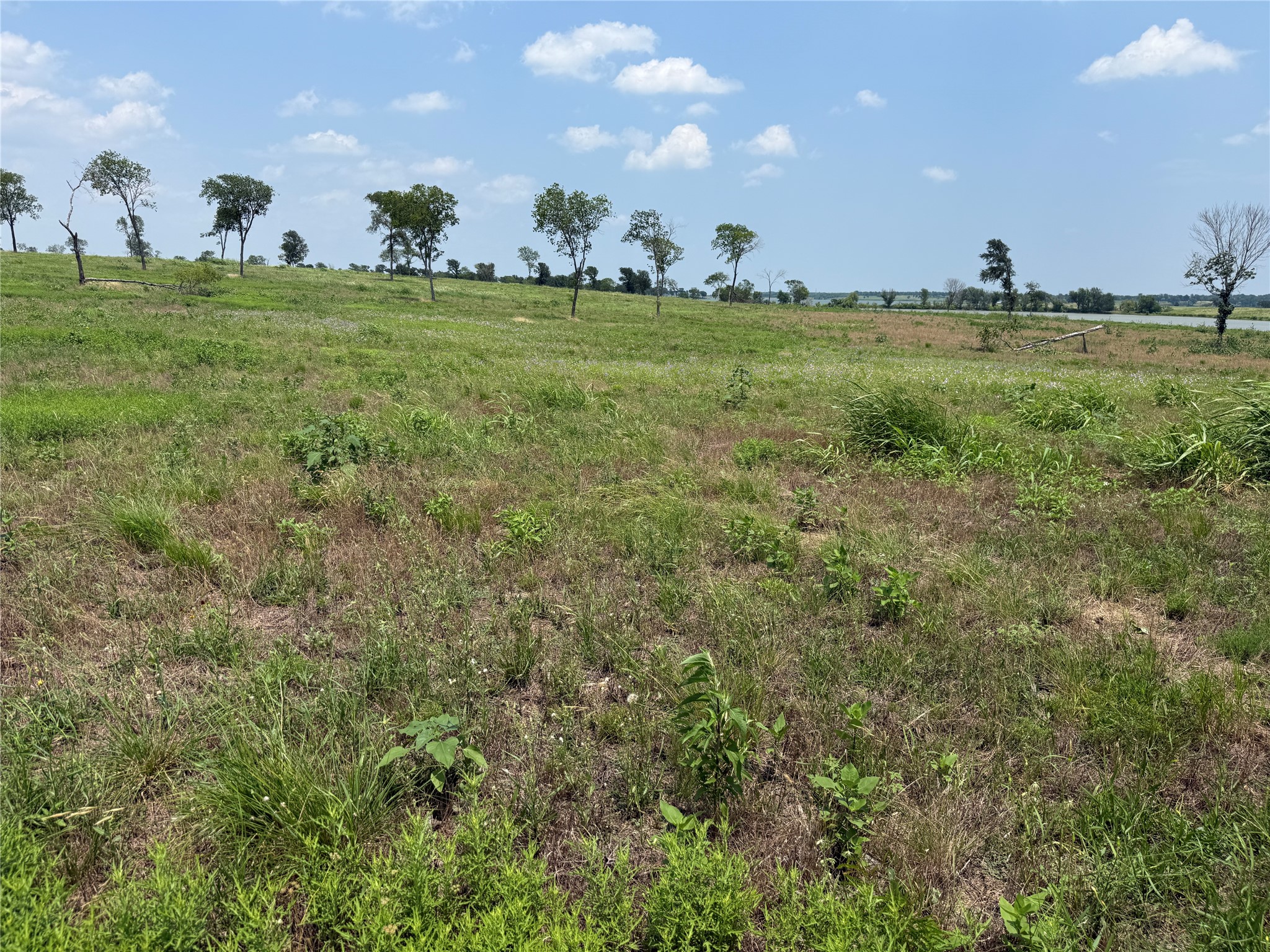 Lot 230 Waterfront Club Drive
