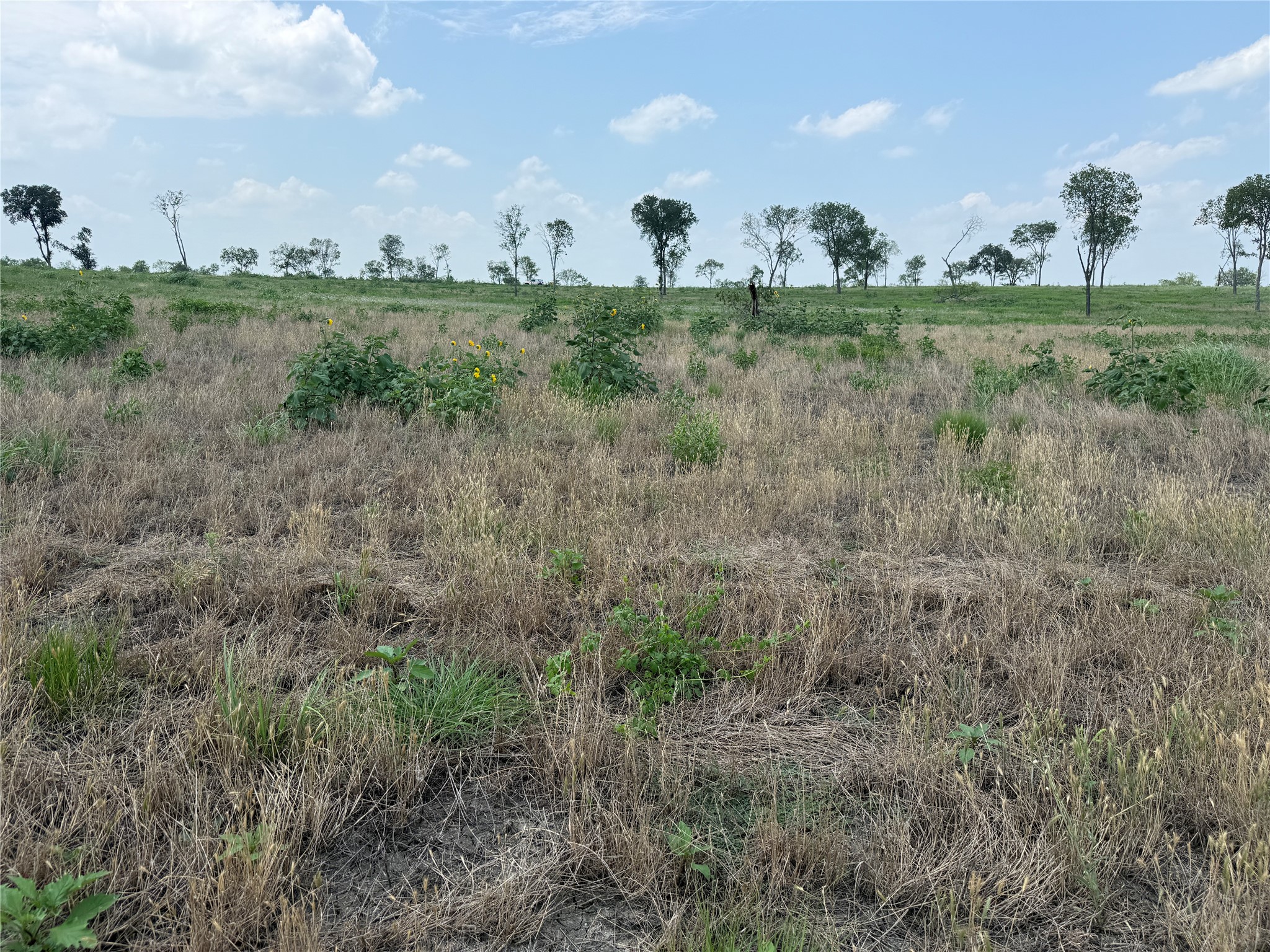 Lot 230 Waterfront Club Drive