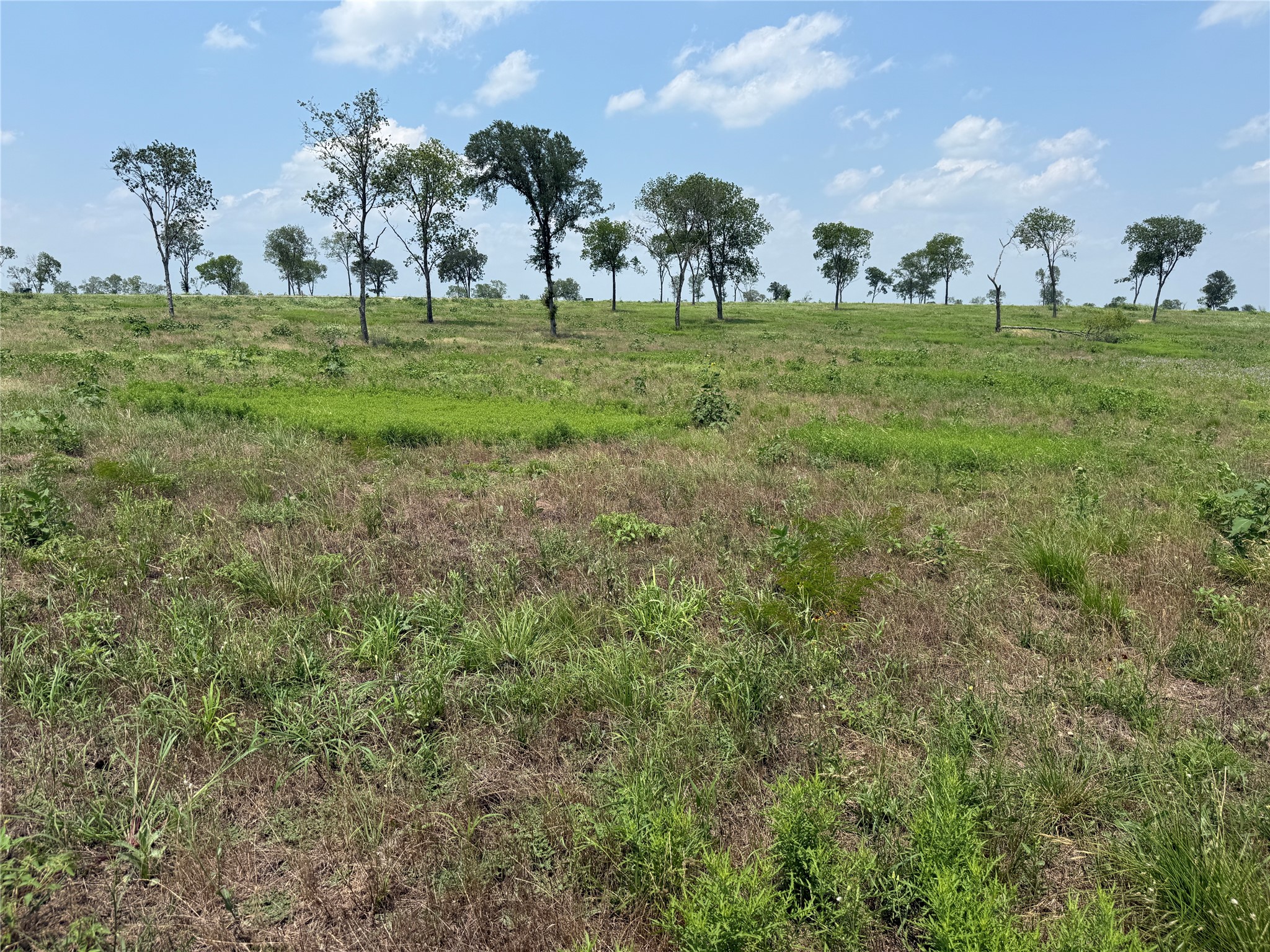 Lot 230 Waterfront Club Drive