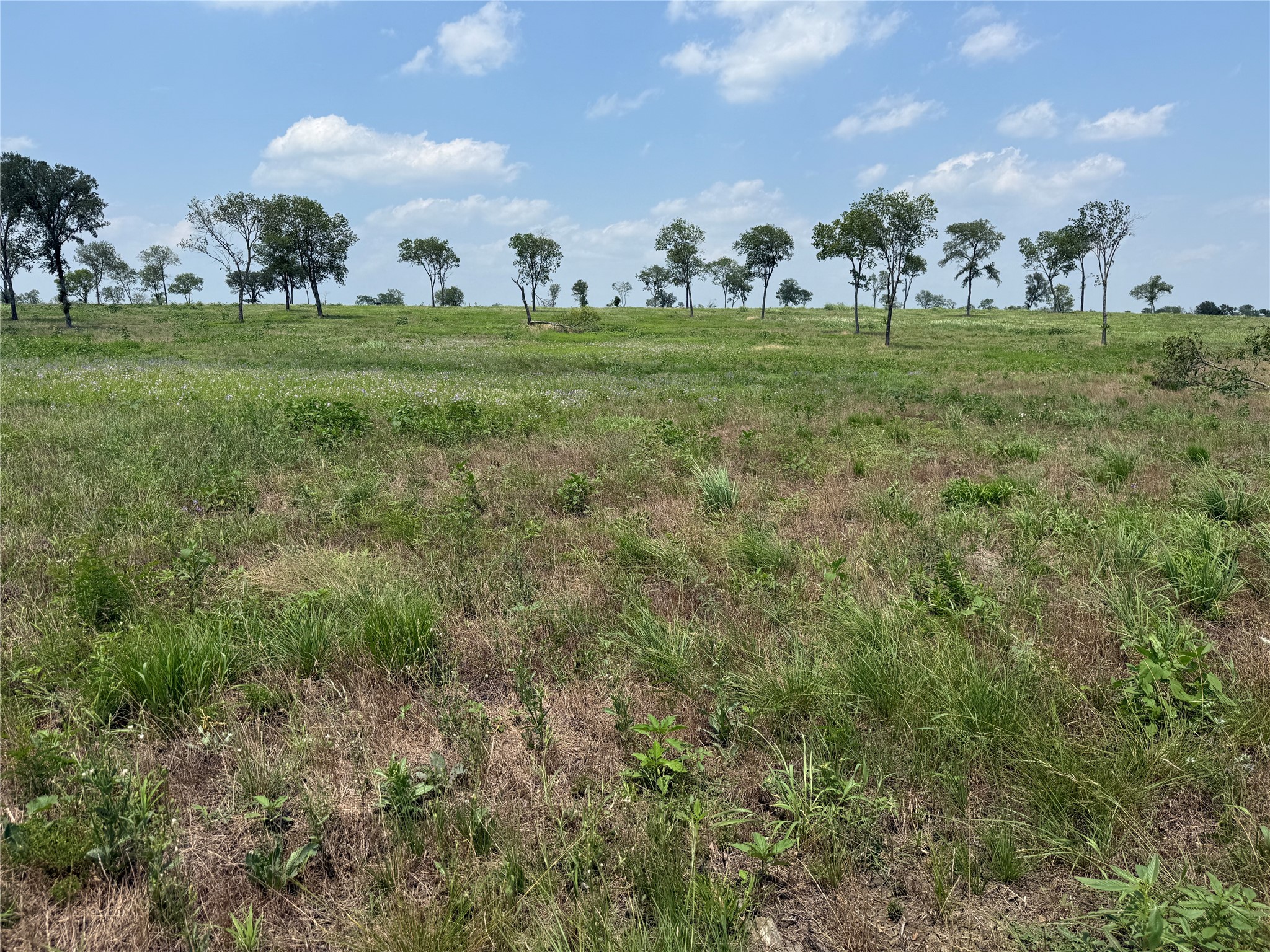 Lot 230 Waterfront Club Drive
