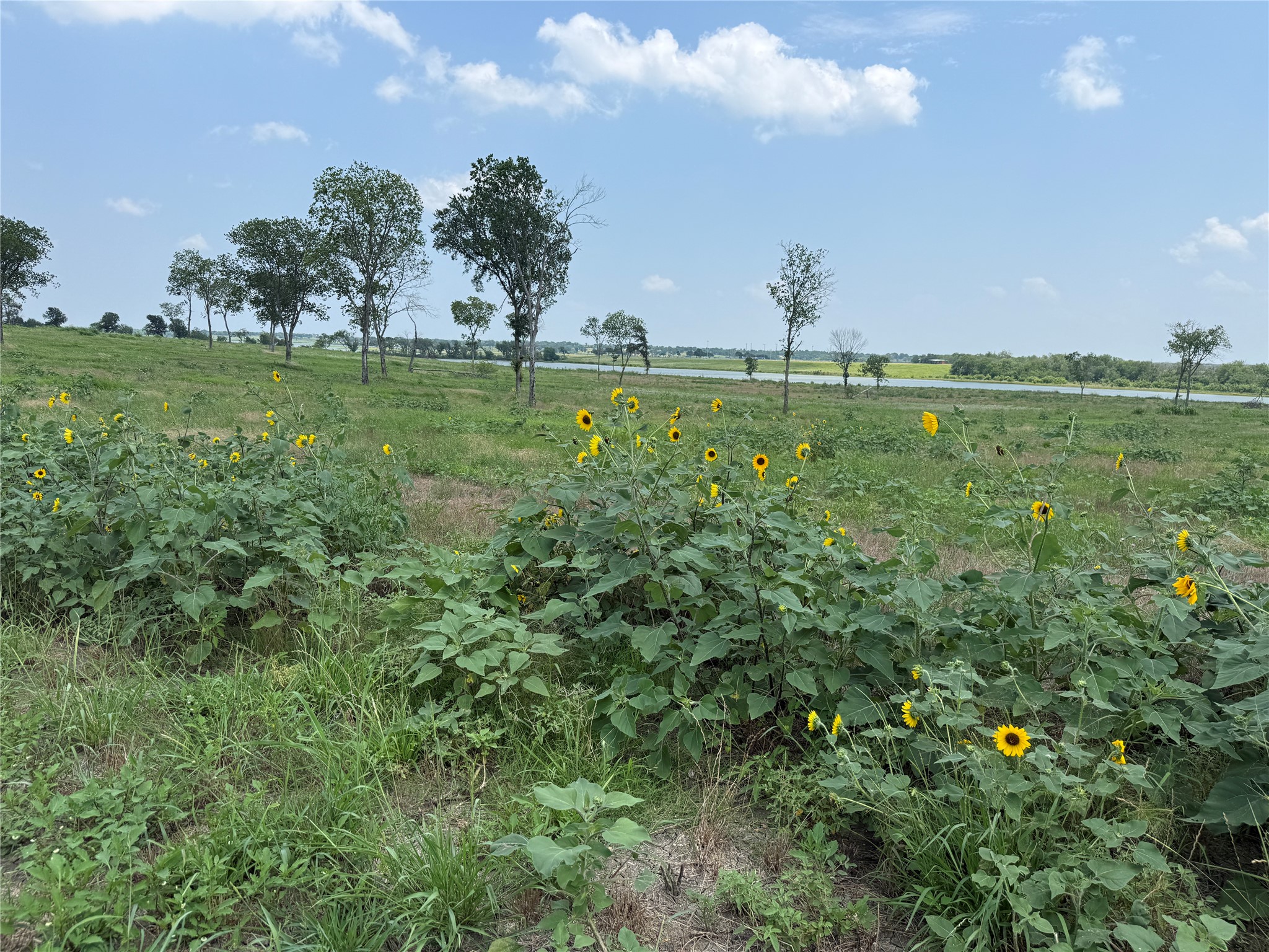 Lot 230 Waterfront Club Drive