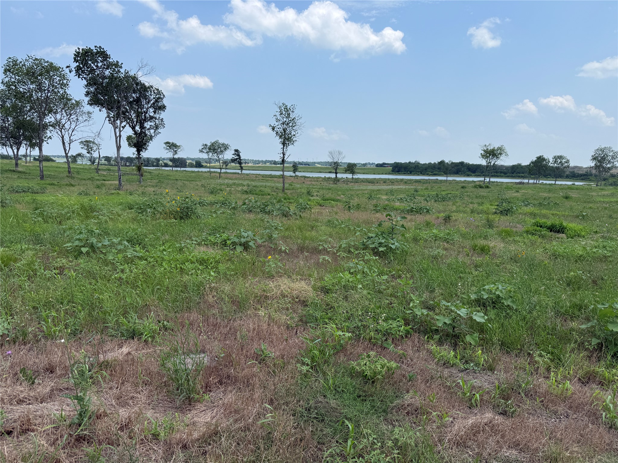Lot 230 Waterfront Club Drive