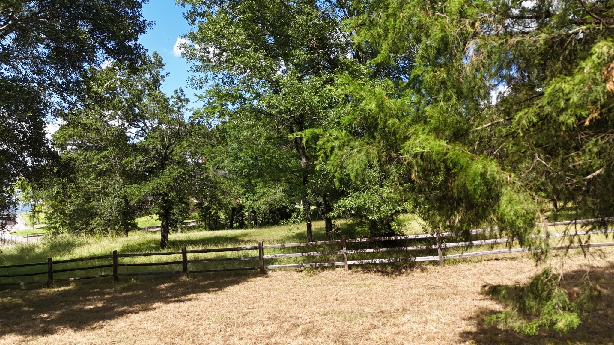 Lot 81 Appomattox