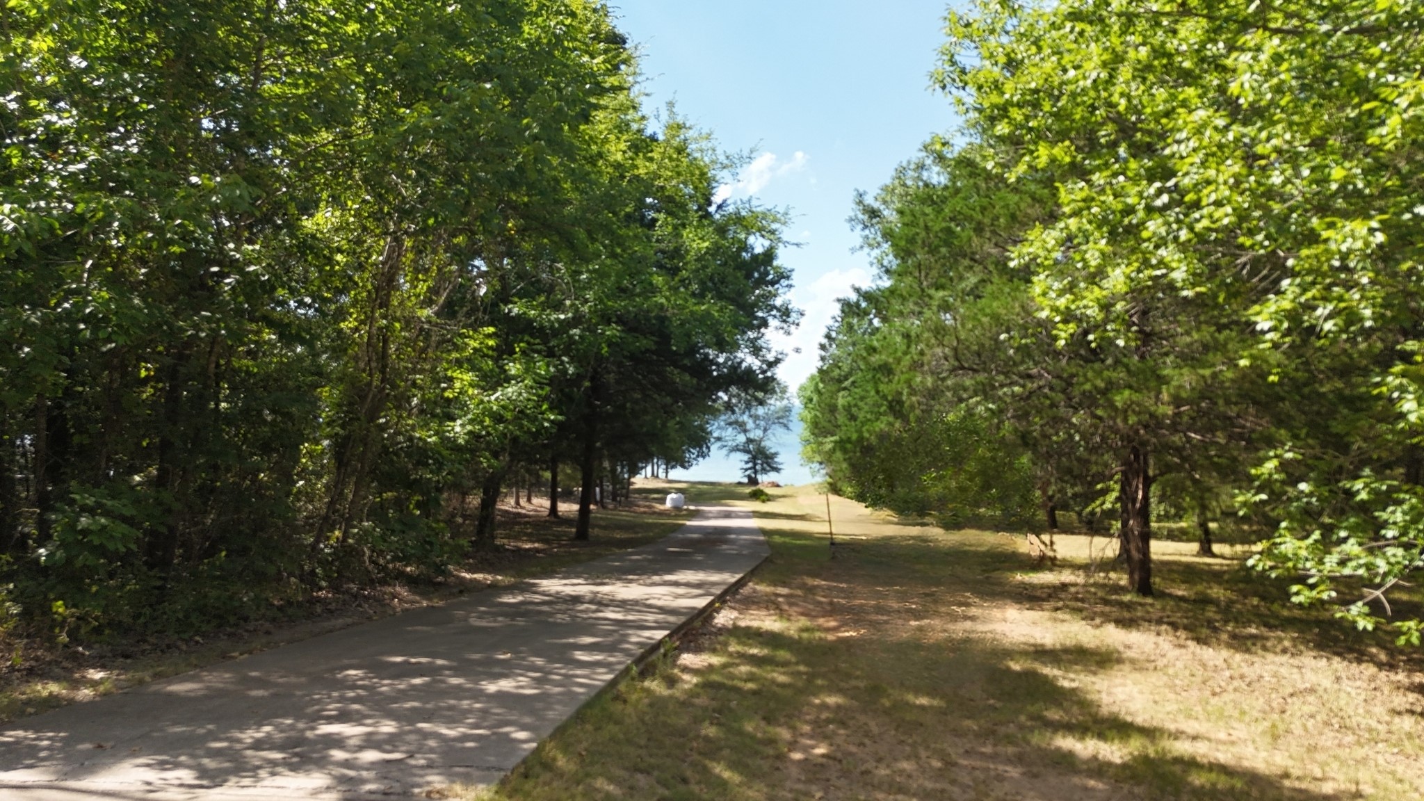 Lot 81 Appomattox