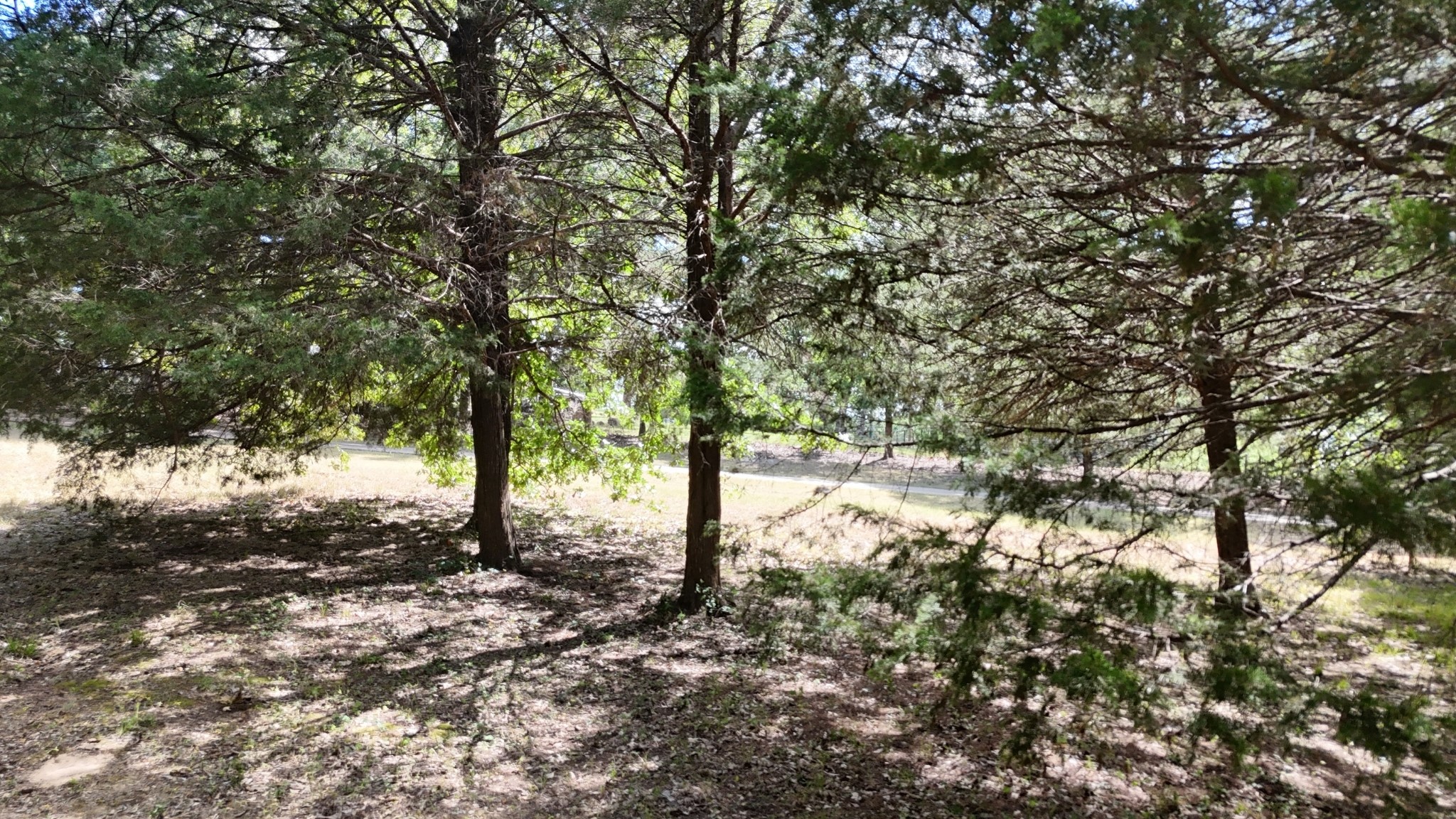 Lot 81 Appomattox