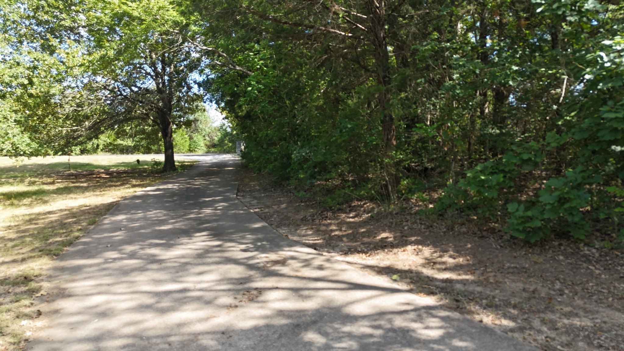Lot 81 Appomattox