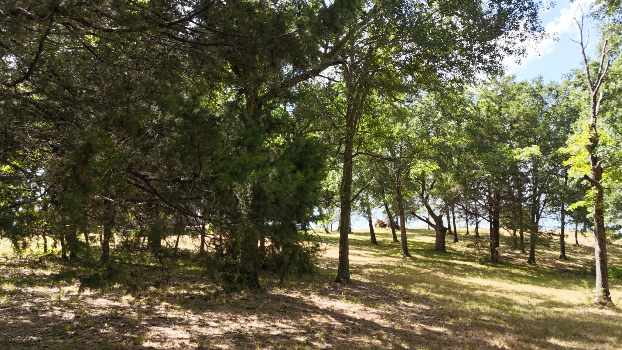 Lot 81 Appomattox