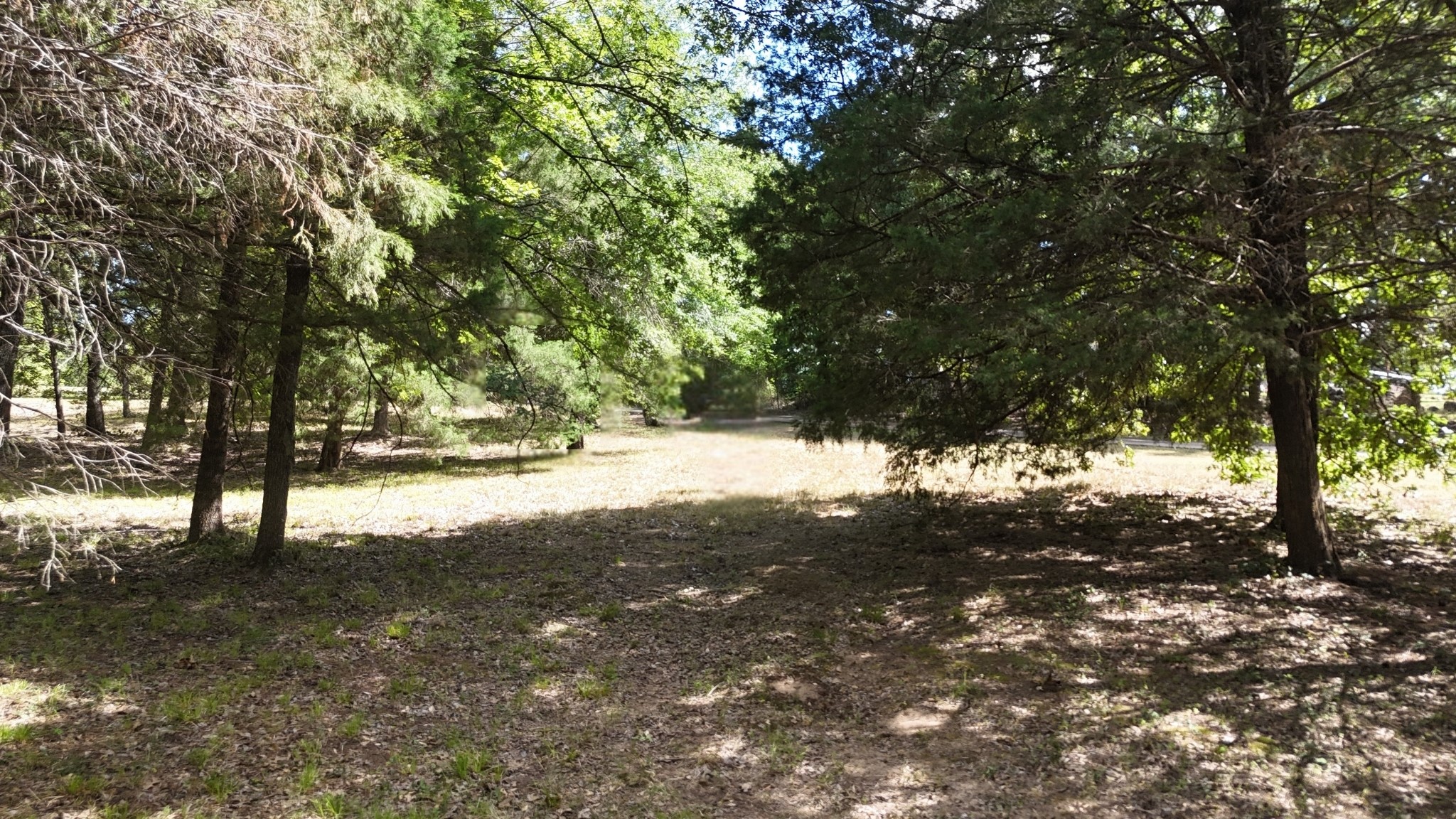 Lot 81 Appomattox