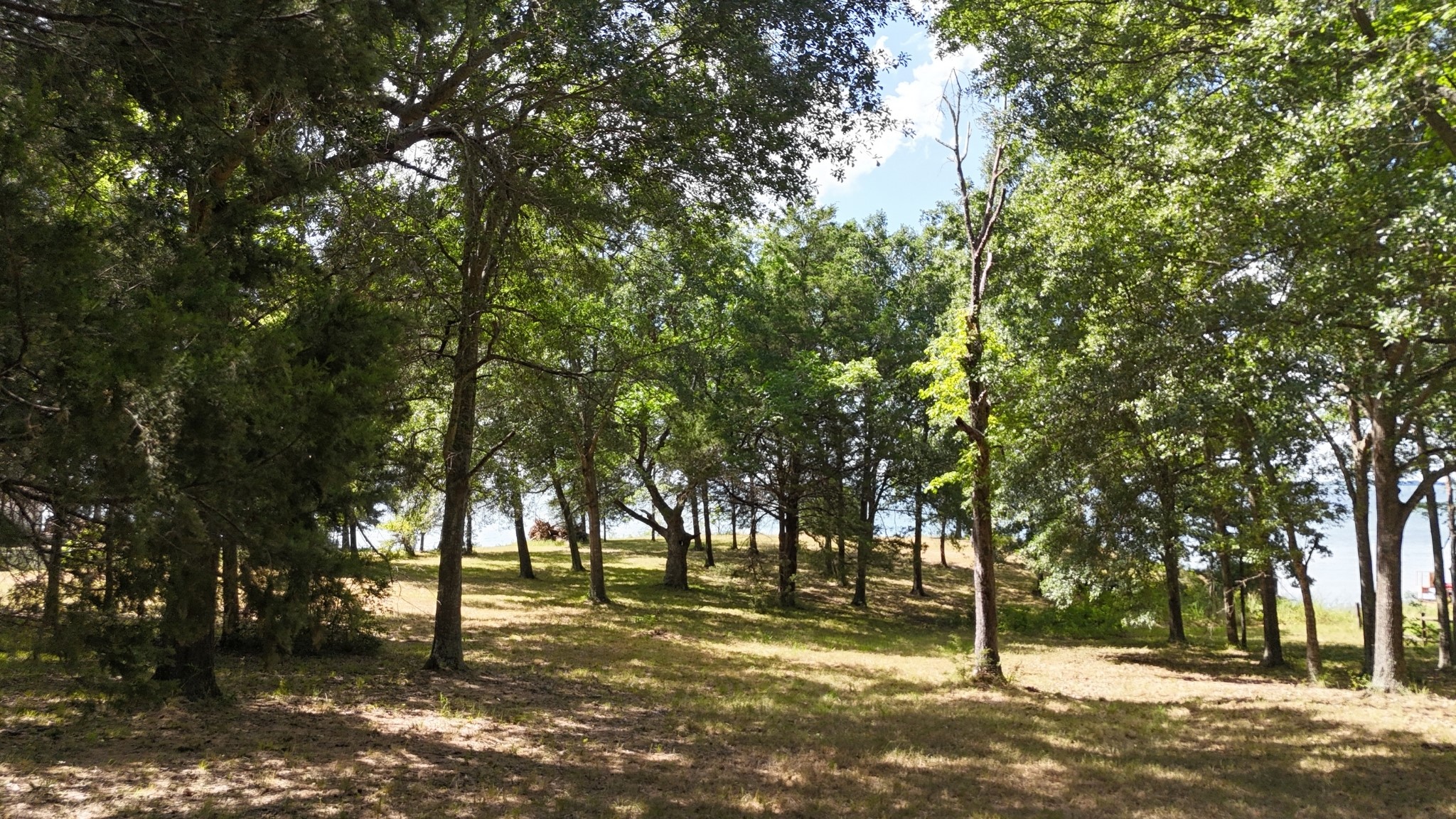 Lot 81 Appomattox