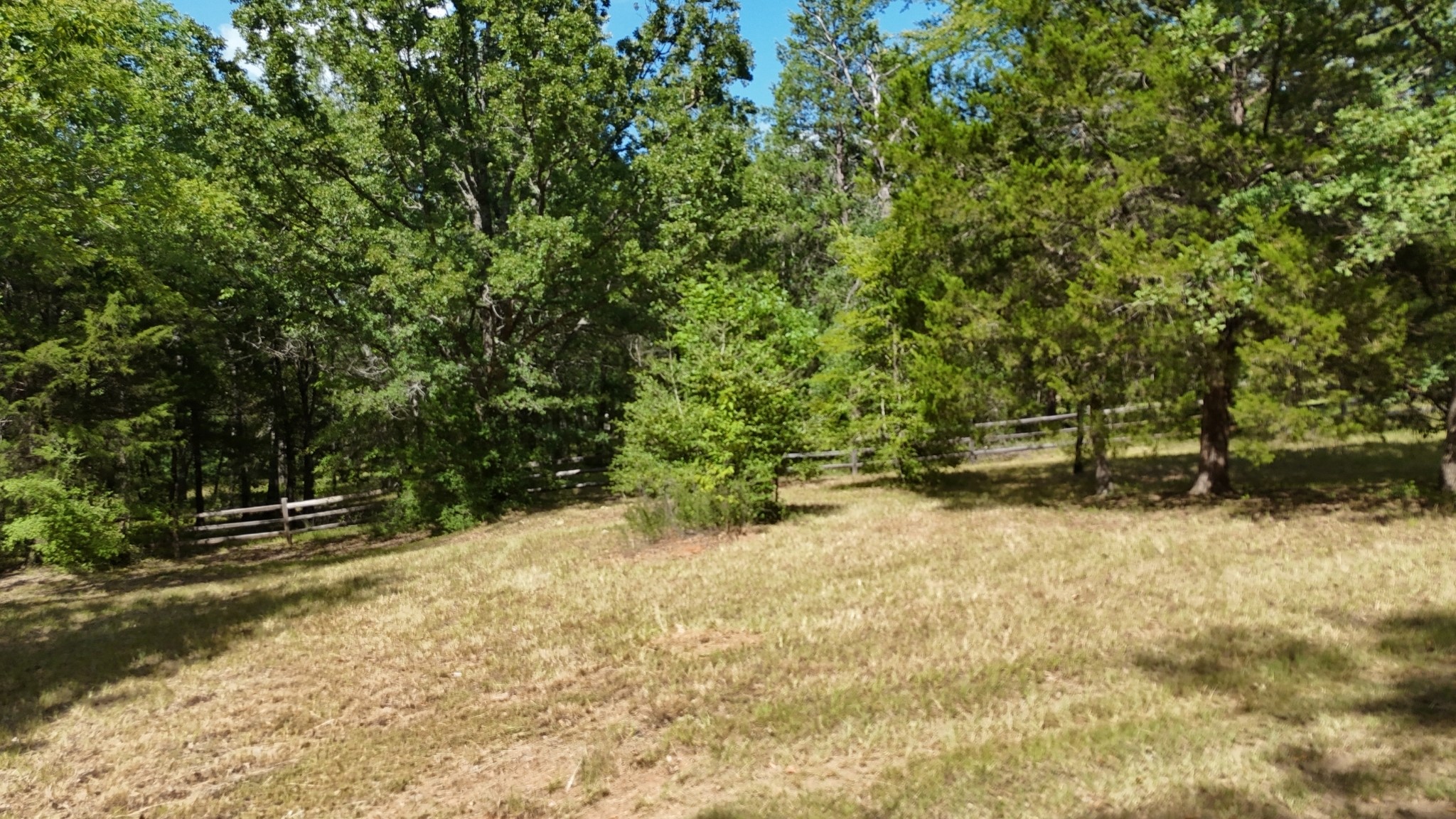 Lot 81 Appomattox