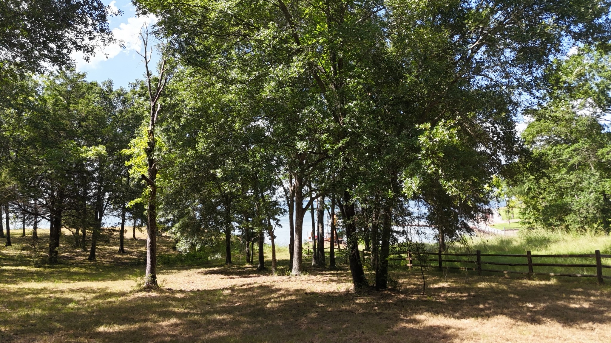 Lot 81 Appomattox
