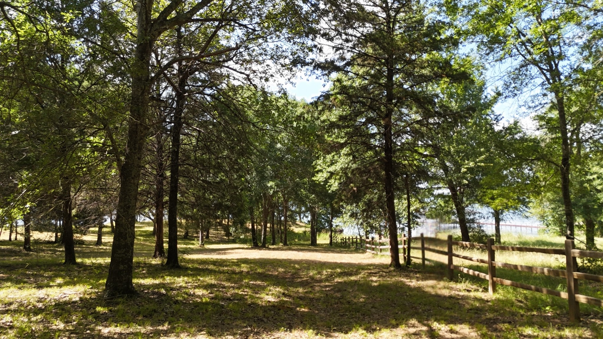 Lot 81 Appomattox