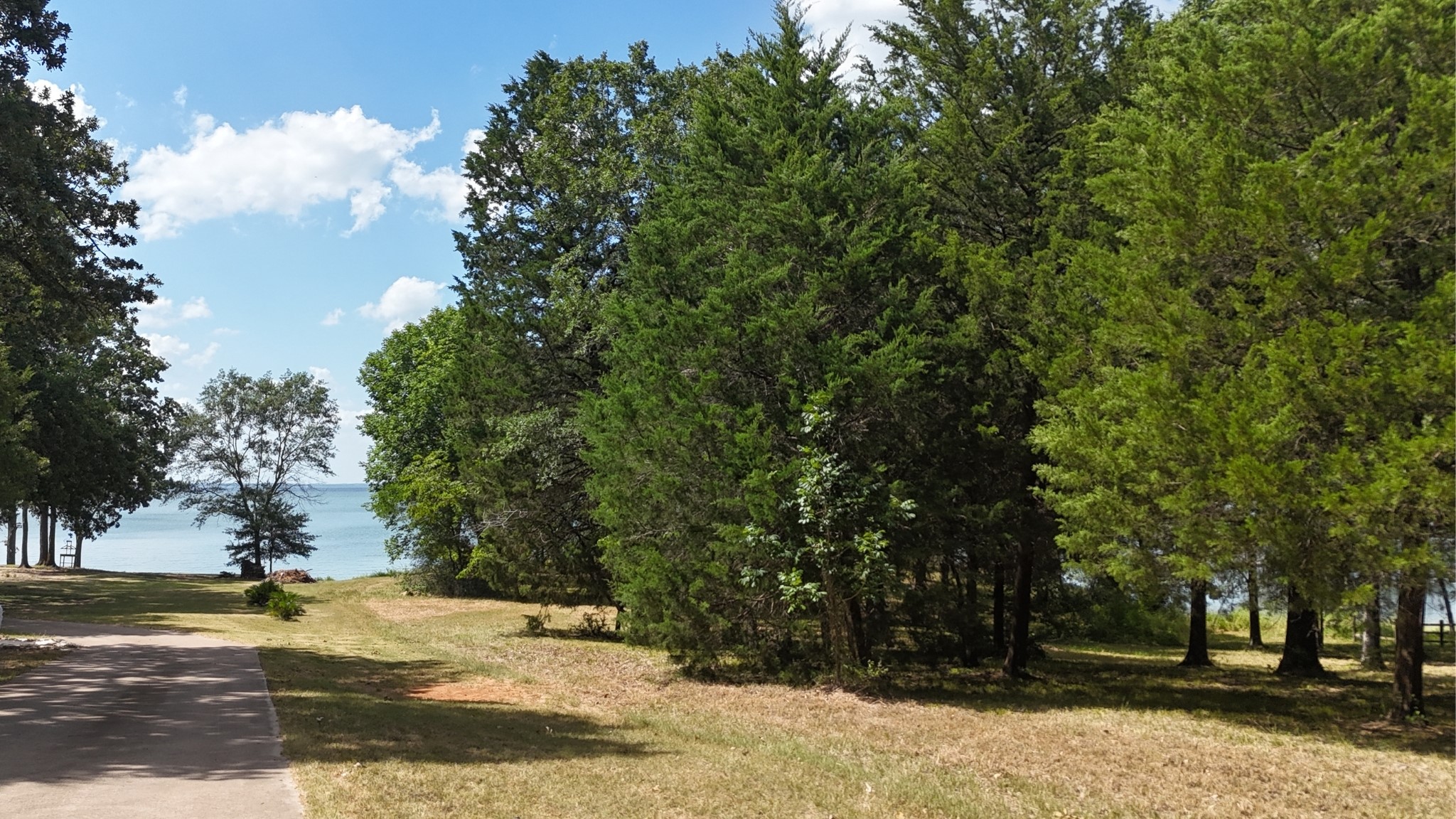 Lot 81 Appomattox