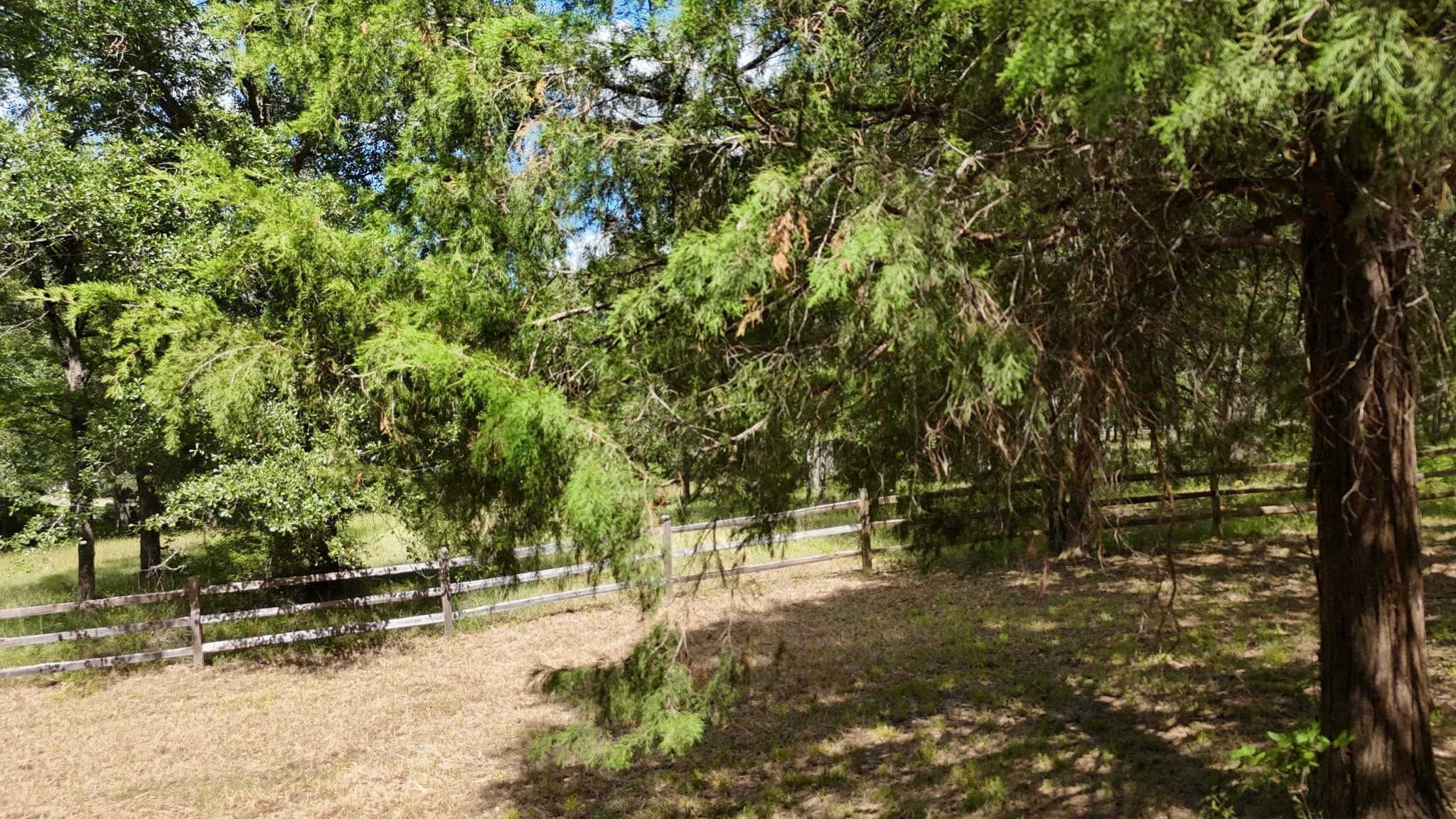 Lot 81 Appomattox
