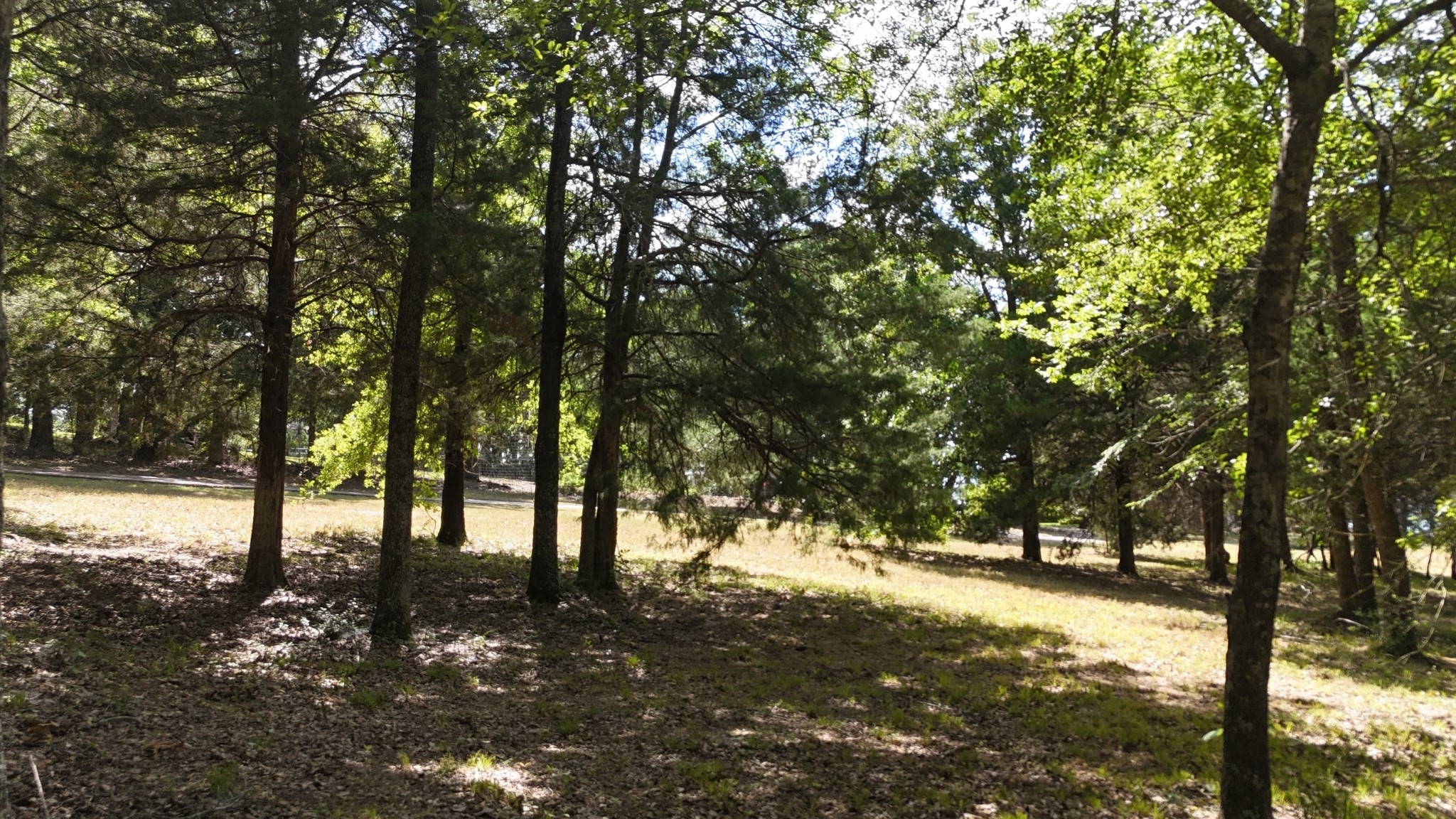 Lot 81 Appomattox
