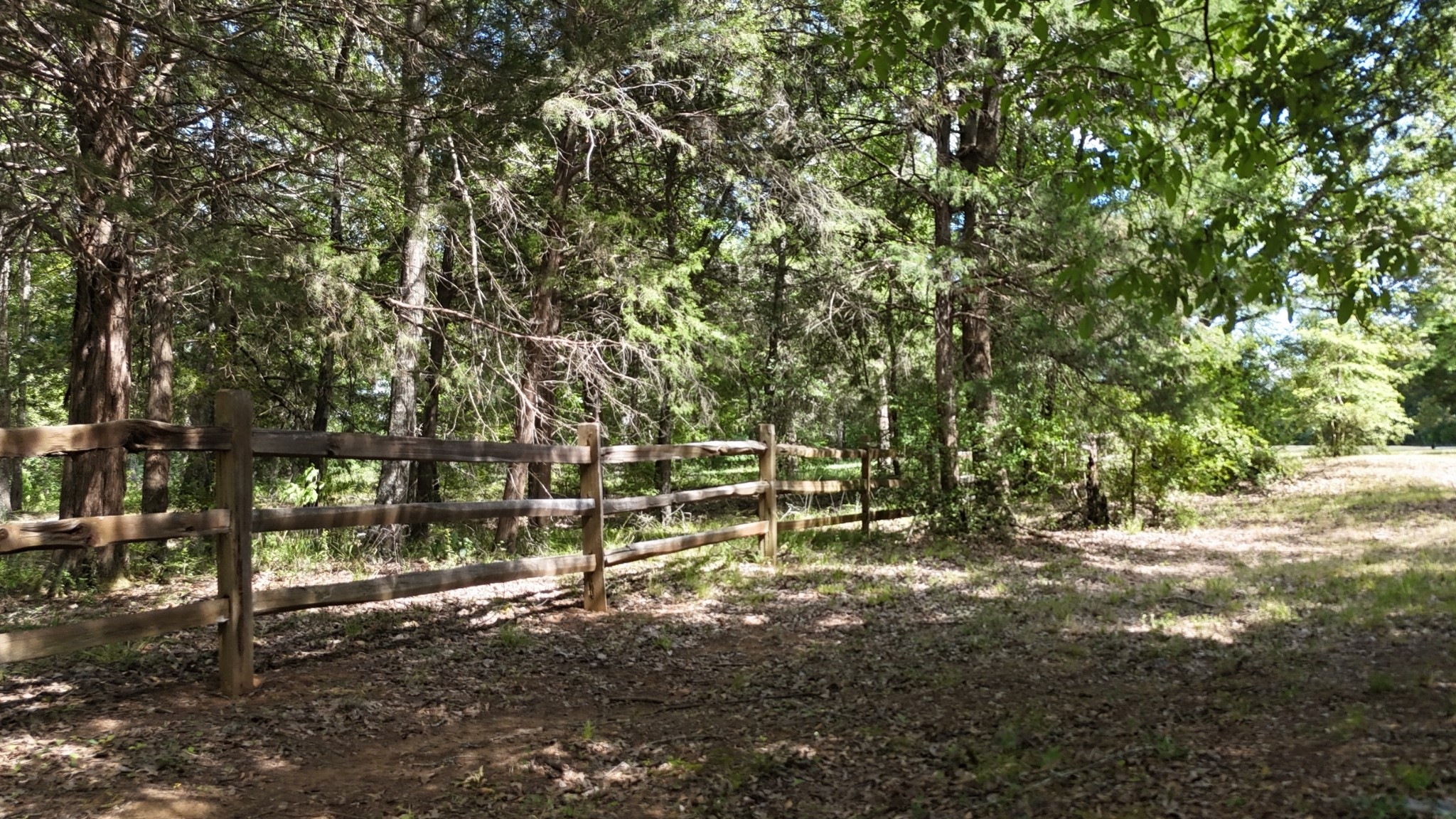 Lot 81 Appomattox