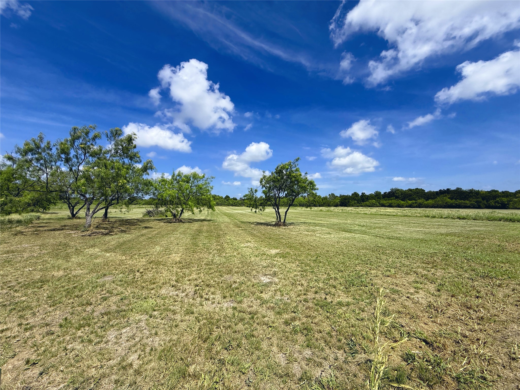 Lot 88 Richland Park Drive
