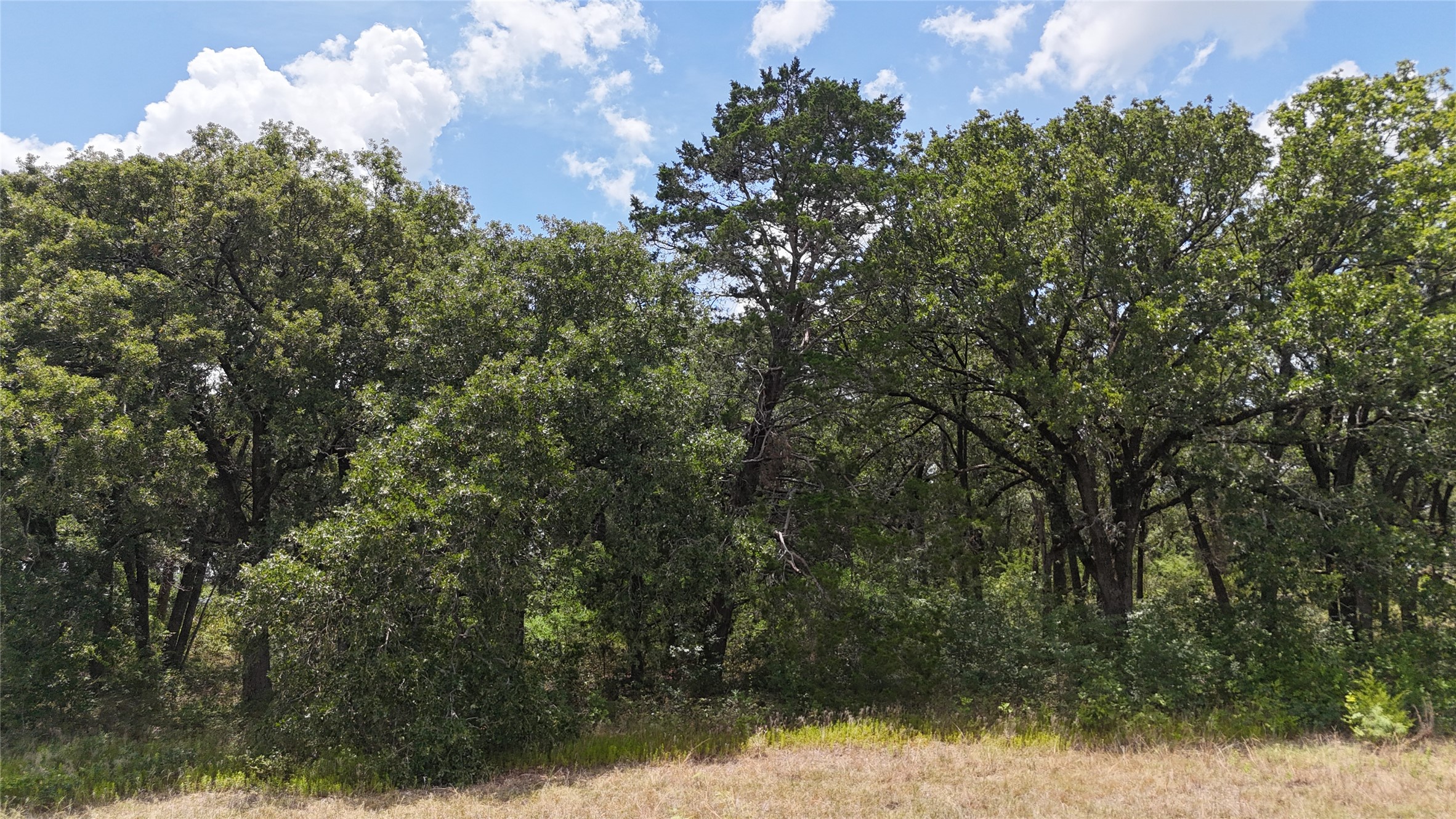 Lot 7 NE County Road 3040