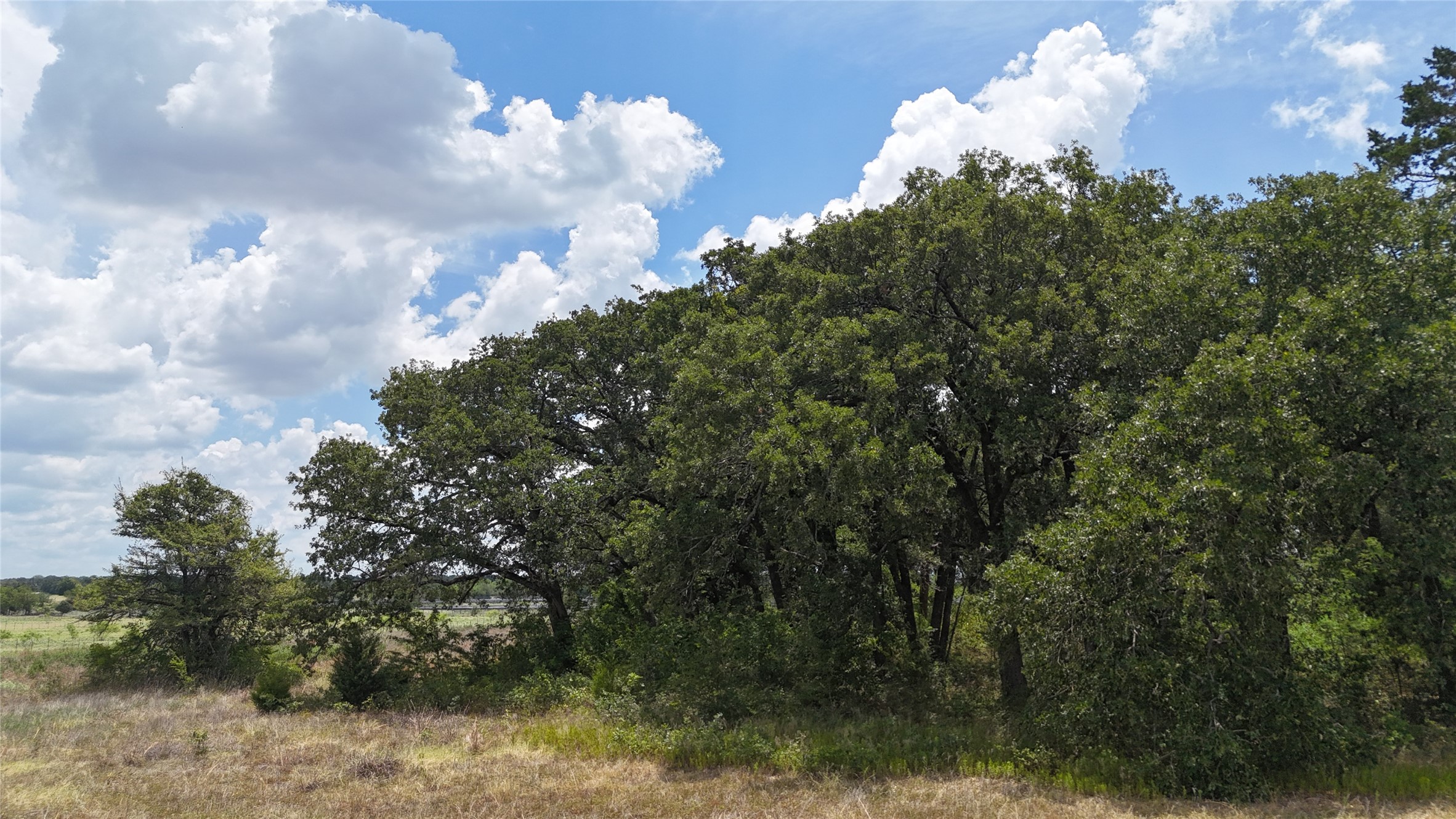 Lot 7 NE County Road 3040