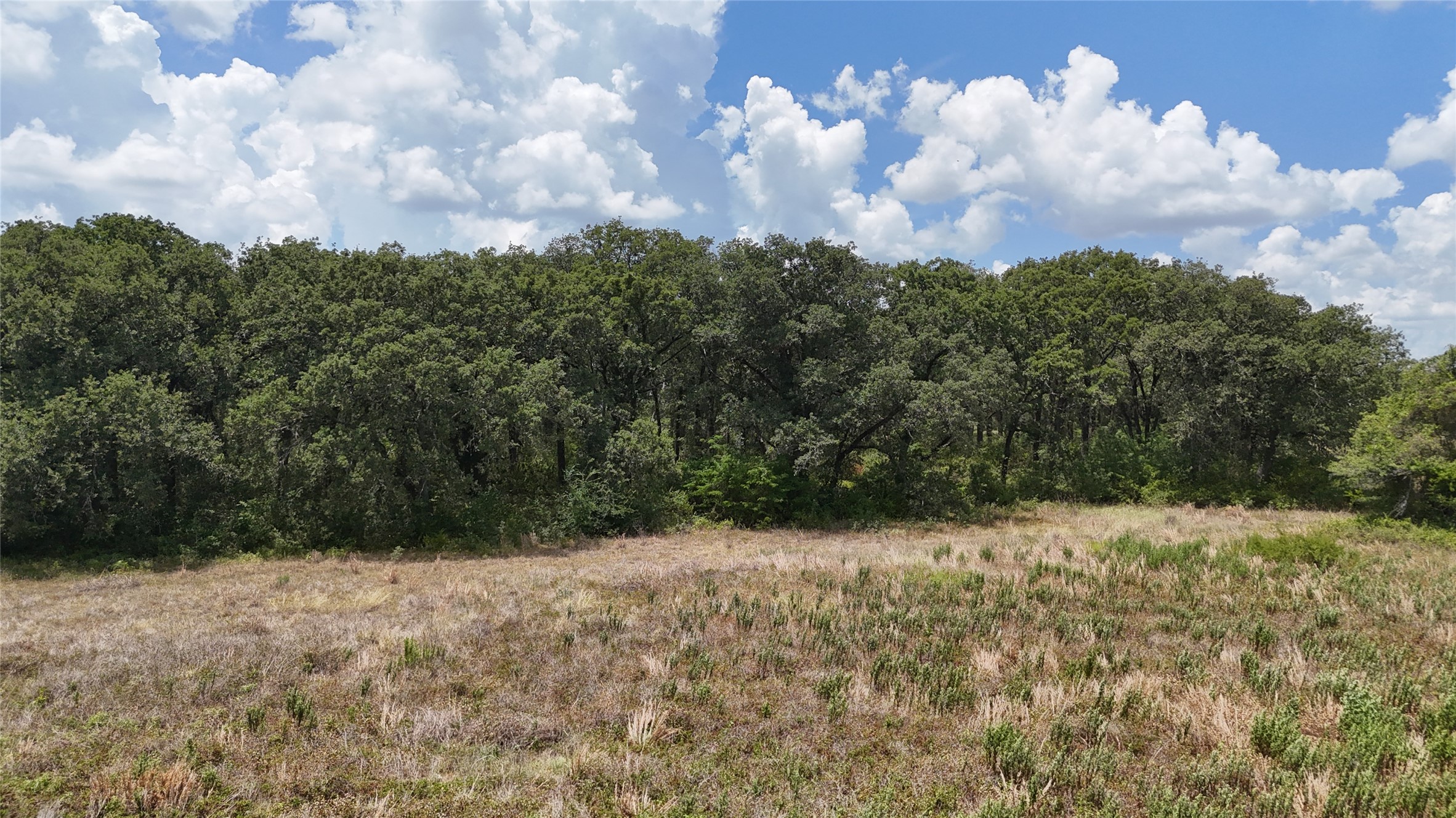 Lot 7 NE County Road 3040