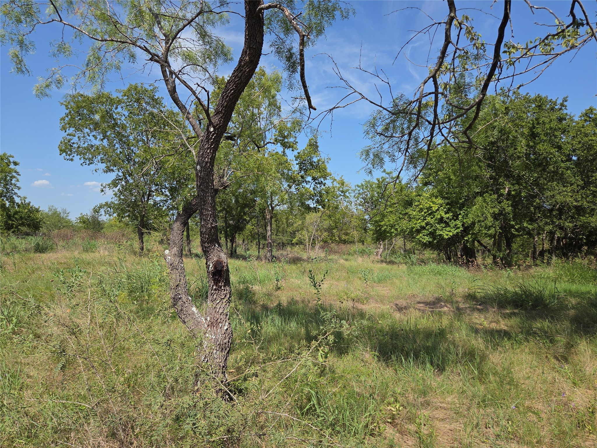 Lot 5-R4 SW County Road