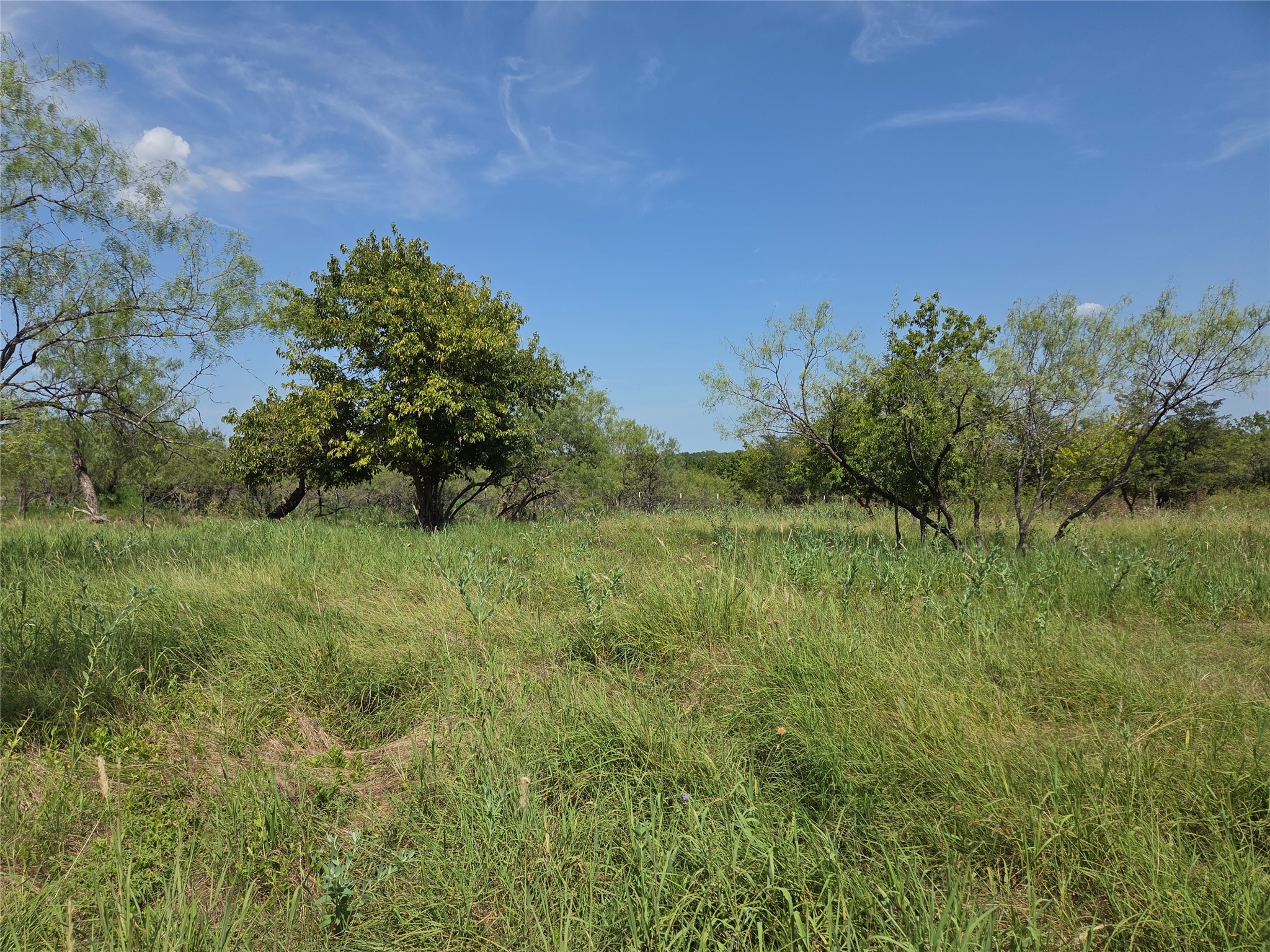 Lot 5-R4 SW County Road