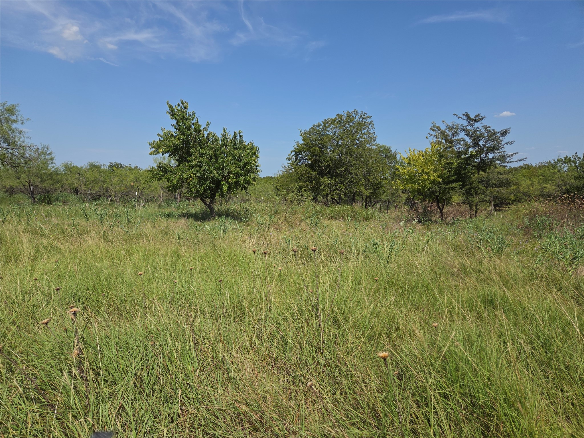 Lot 5-R4 SW County Road