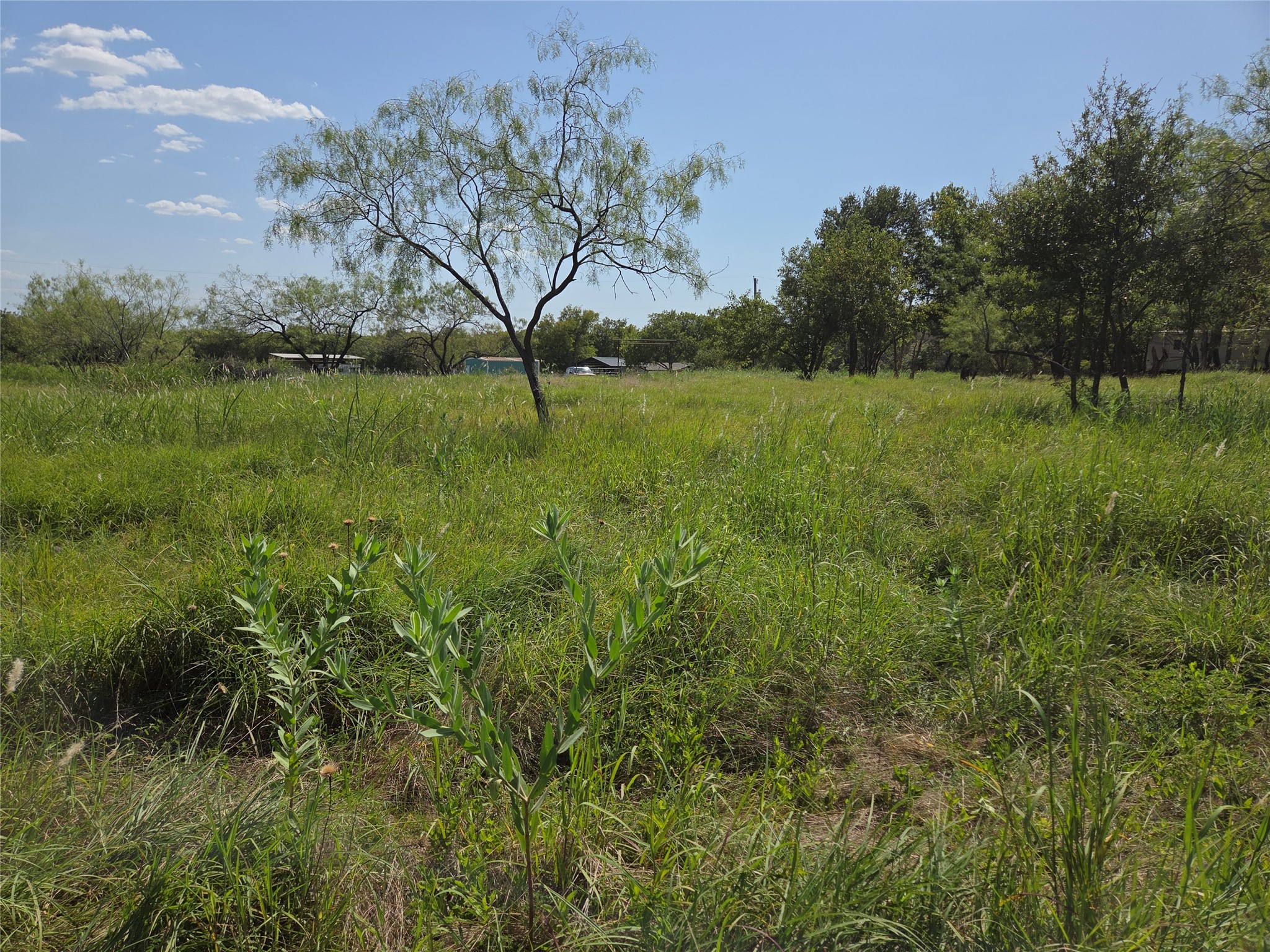 Lot 5-R4 SW County Road
