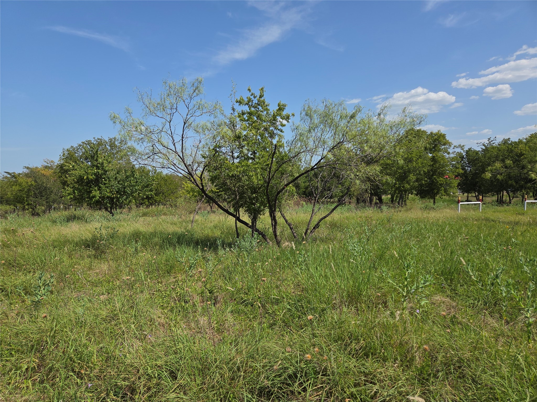 Lot 5-R4 SW County Road