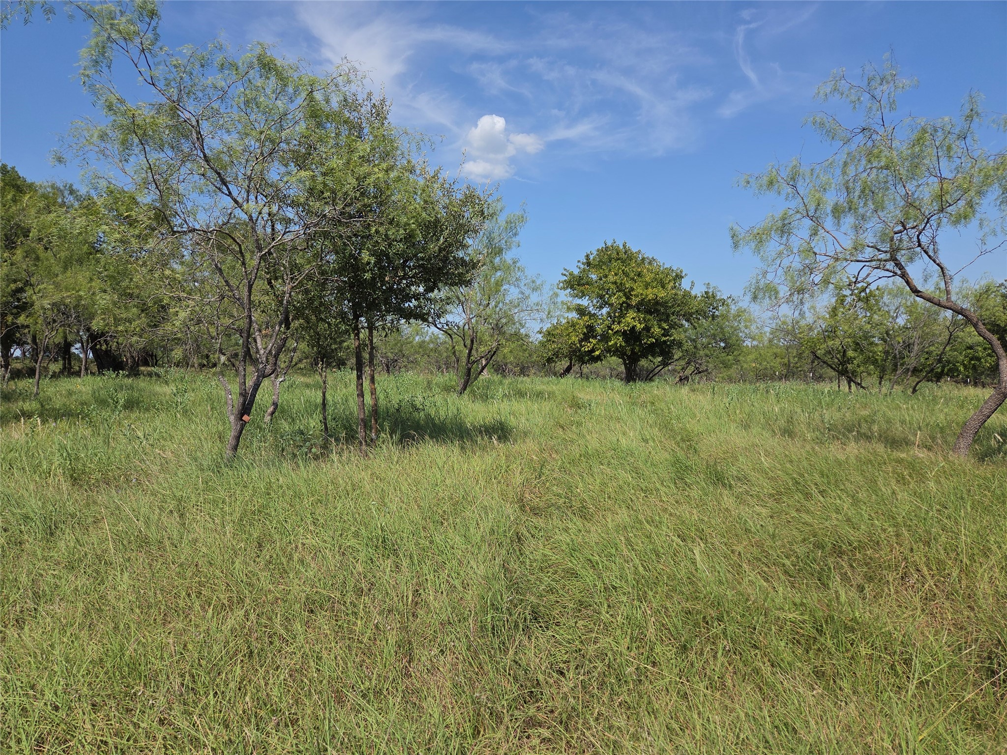 Lot 5-R4 SW County Road