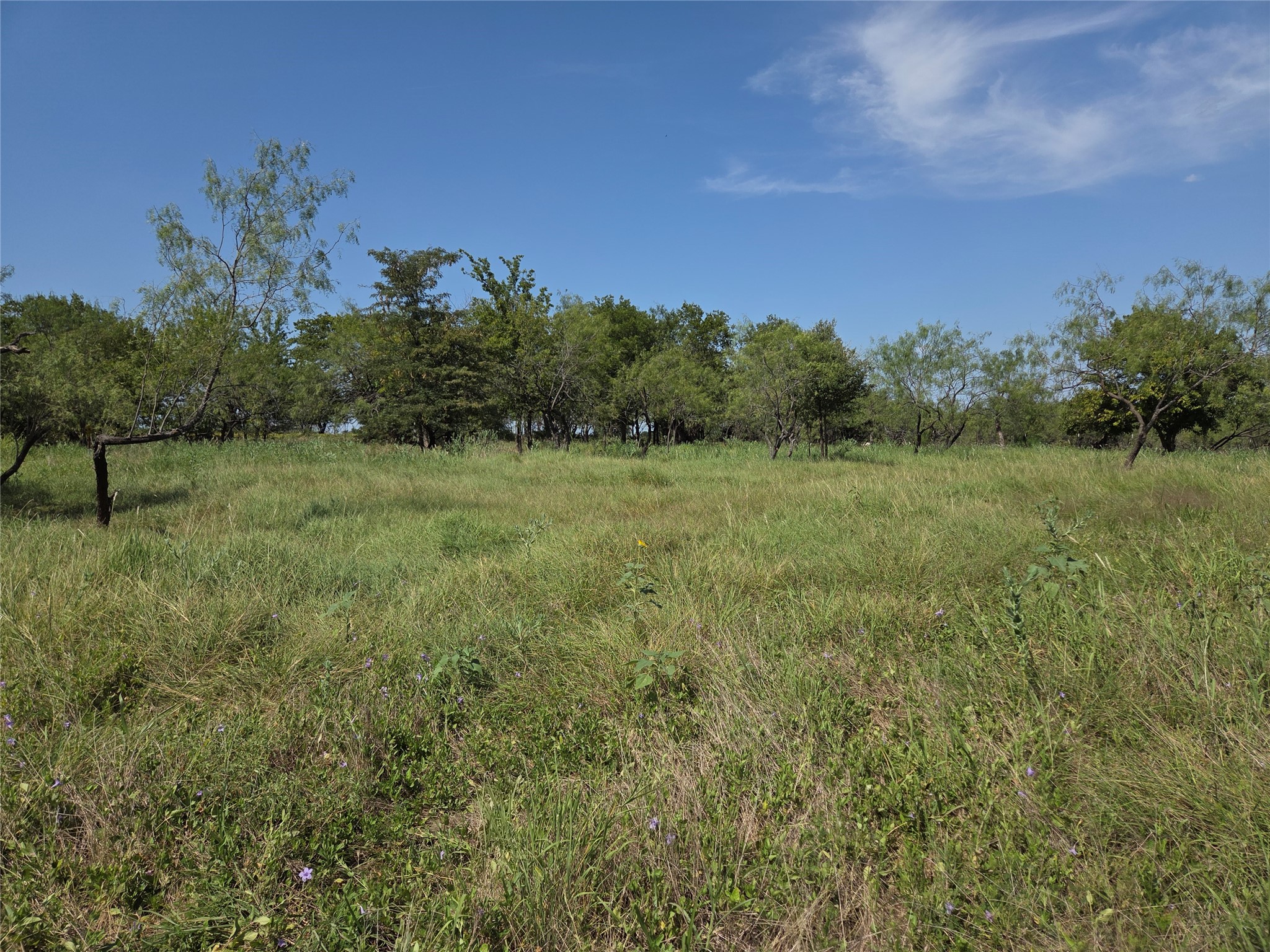 Lot 5-R4 SW County Road