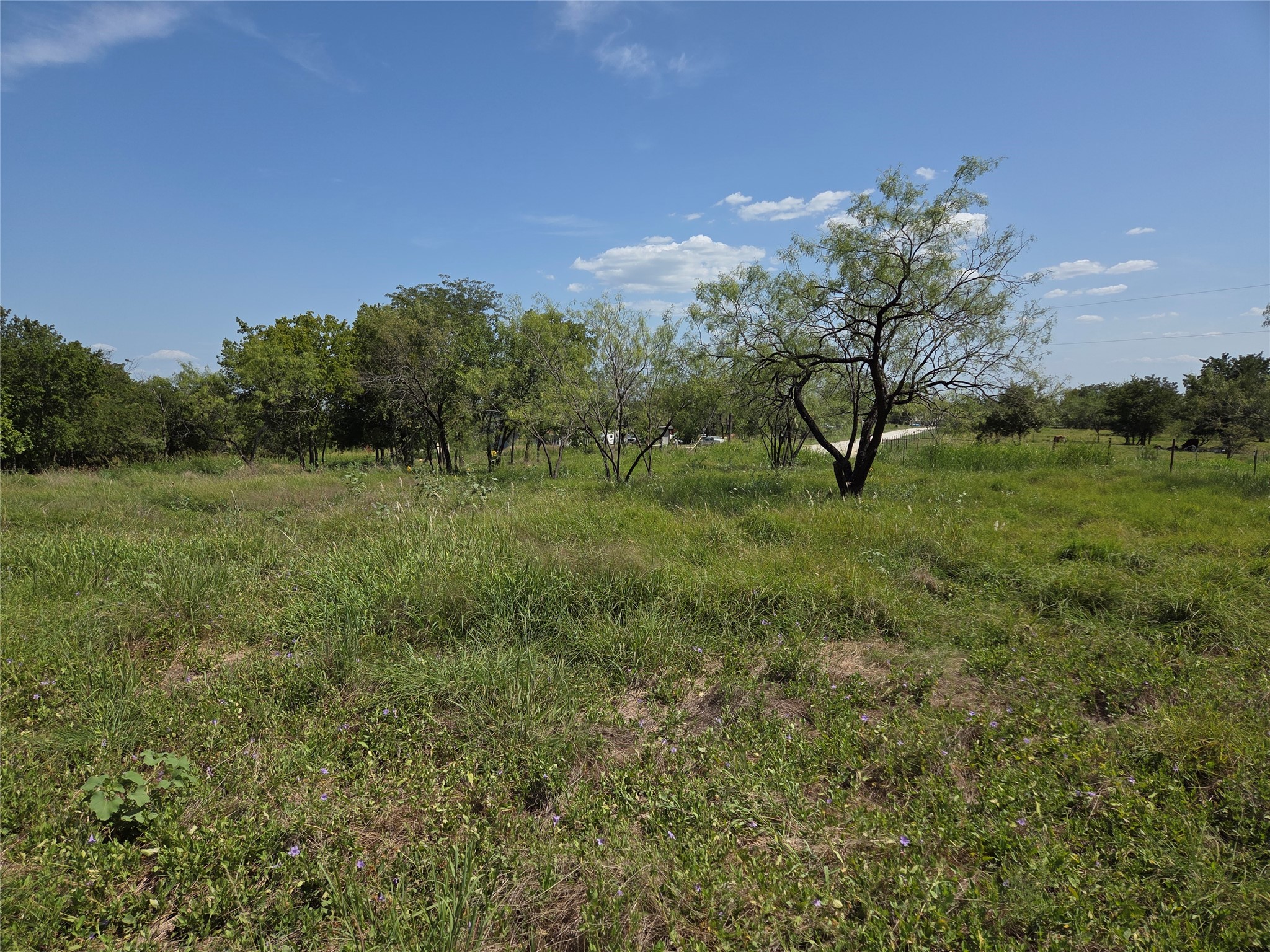 Lot 5-R4 SW County Road
