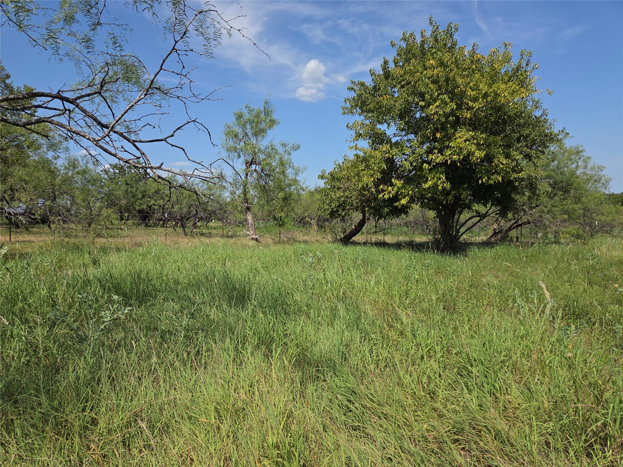 Lot 5-R4 SW County Road