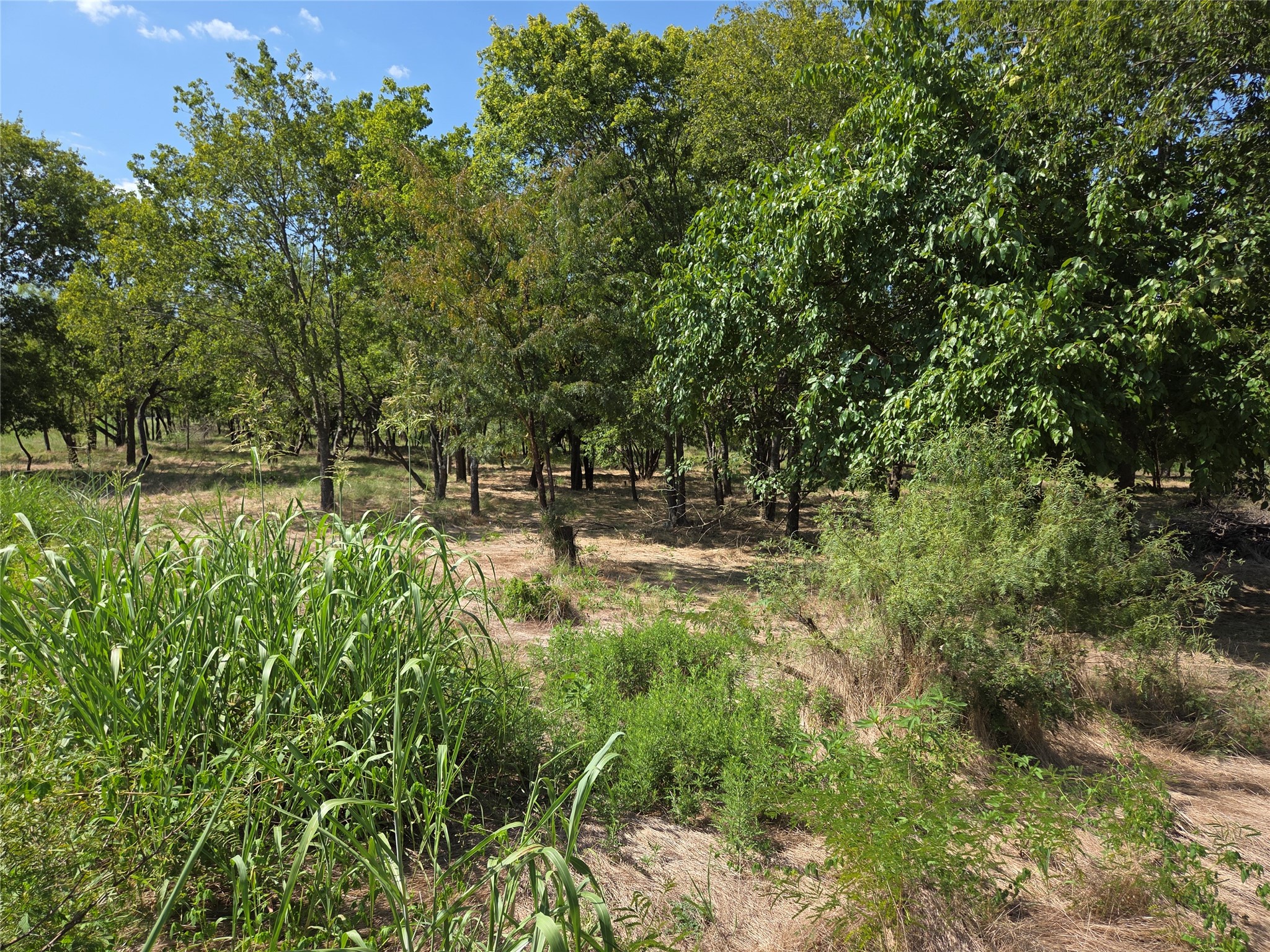 Lot 5-R4 SW County Road
