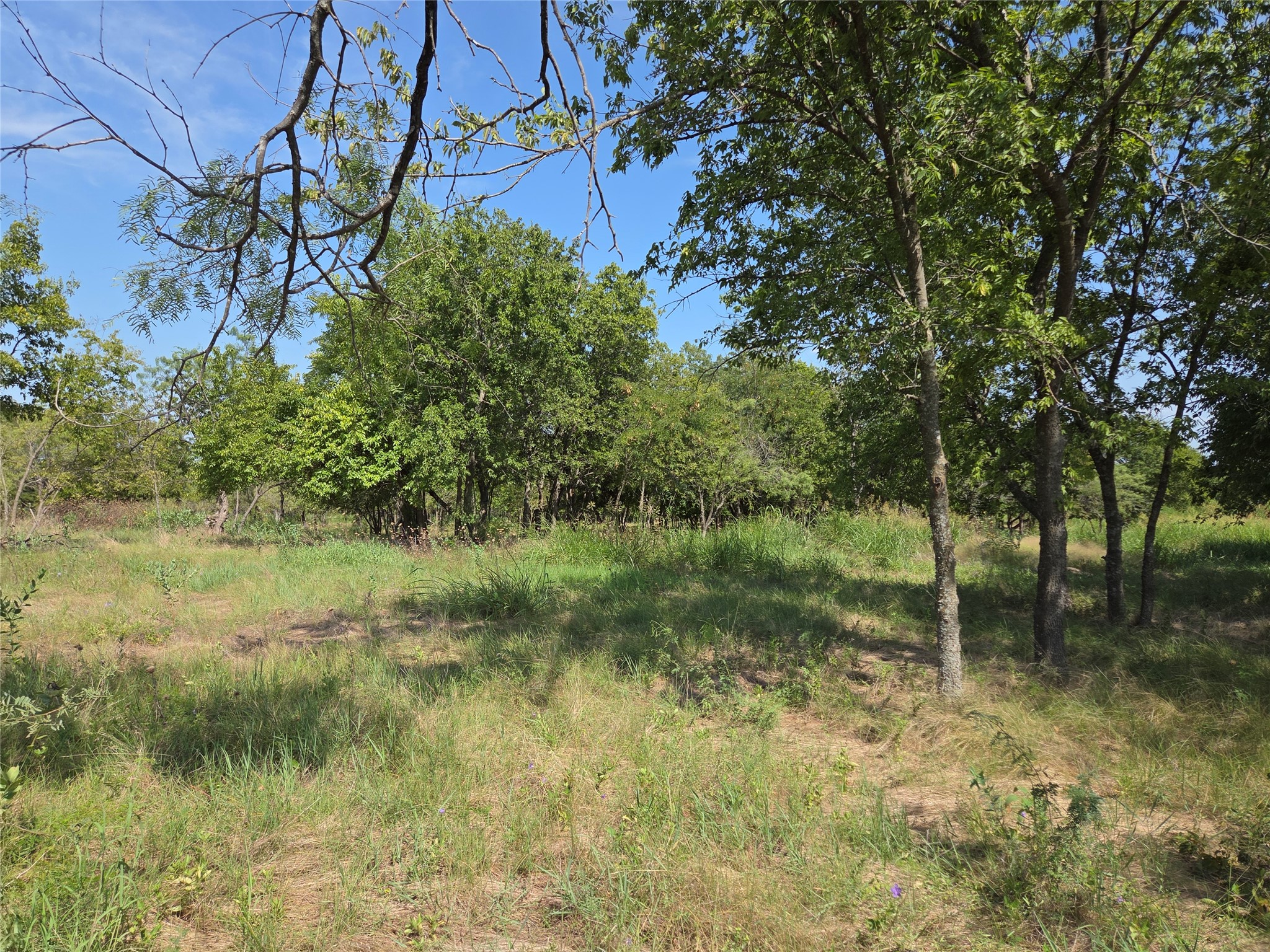 Lot 5-R4 SW County Road