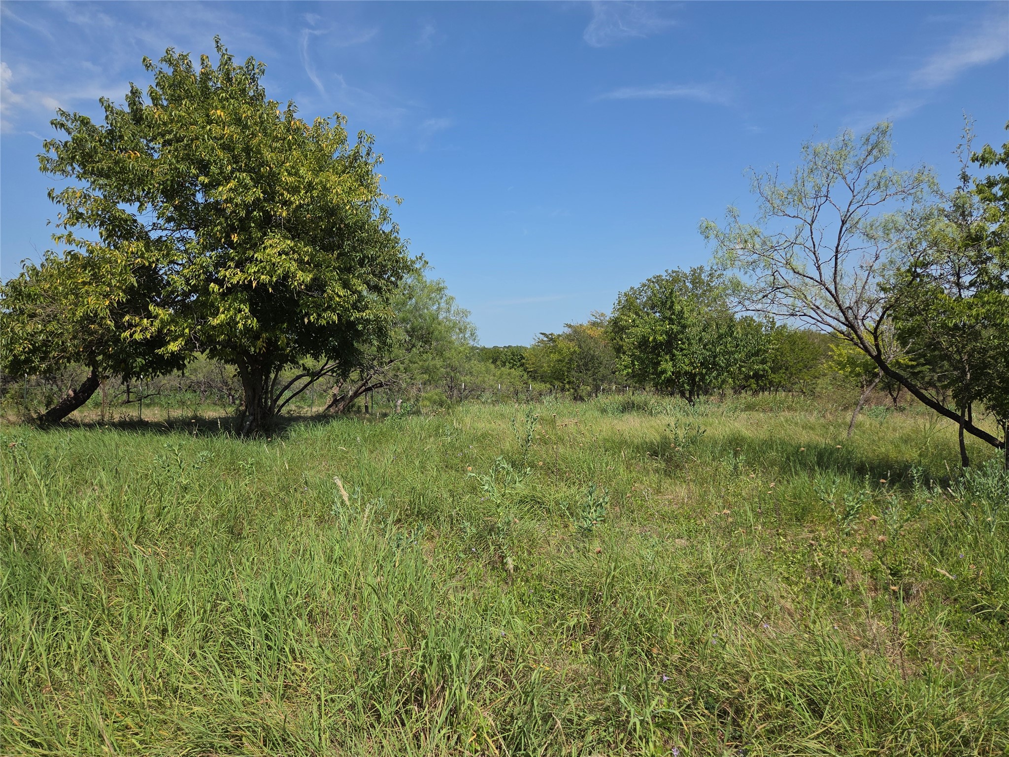 Lot 5-R4 SW County Road