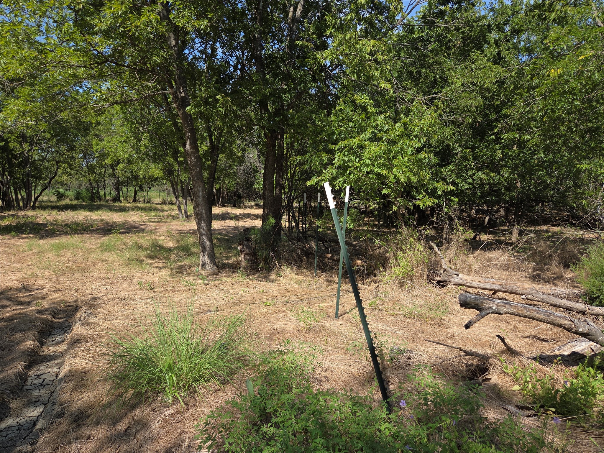 Lot 5-R4 SW County Road