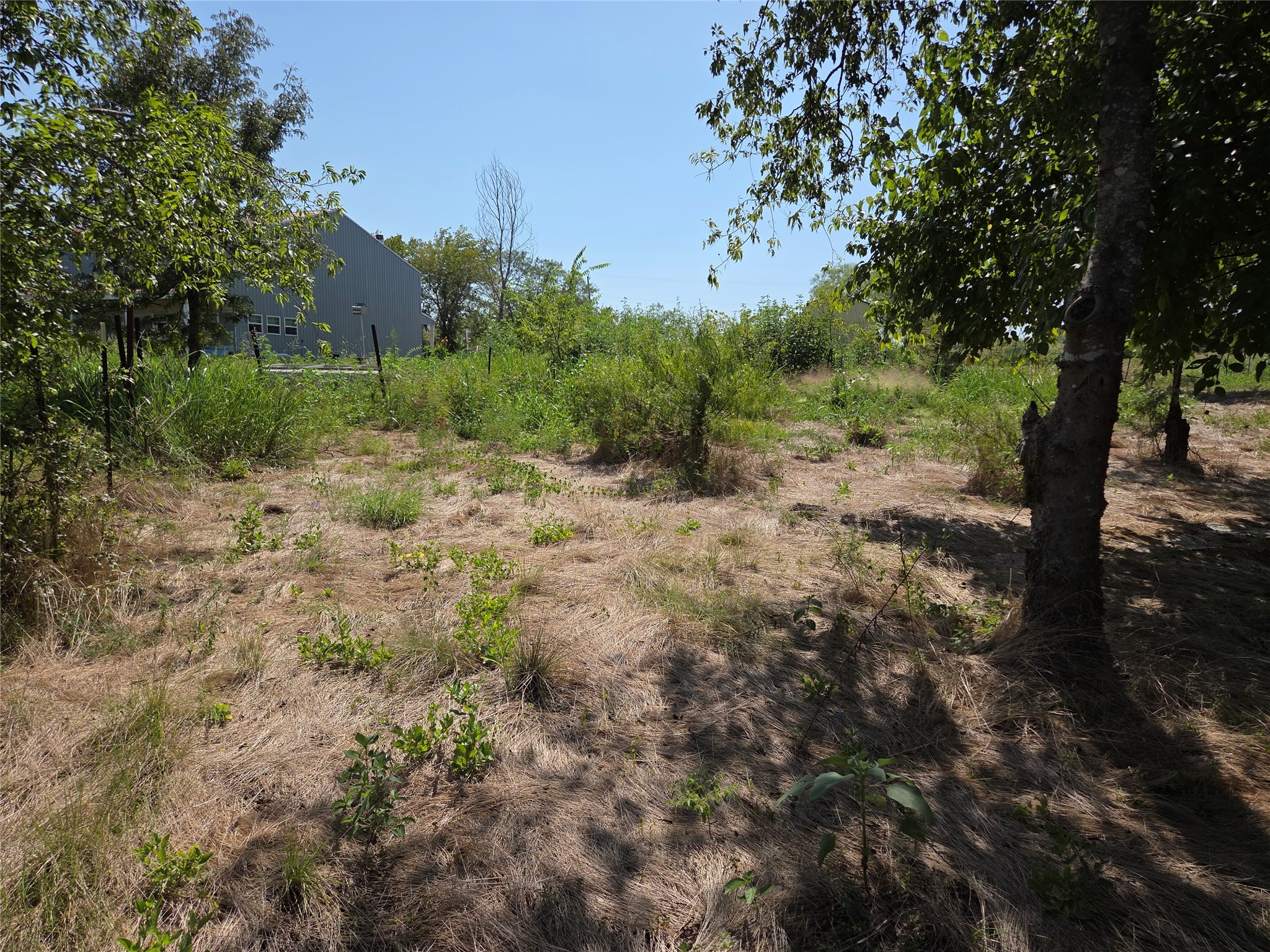 Lot 5-R4 SW County Road